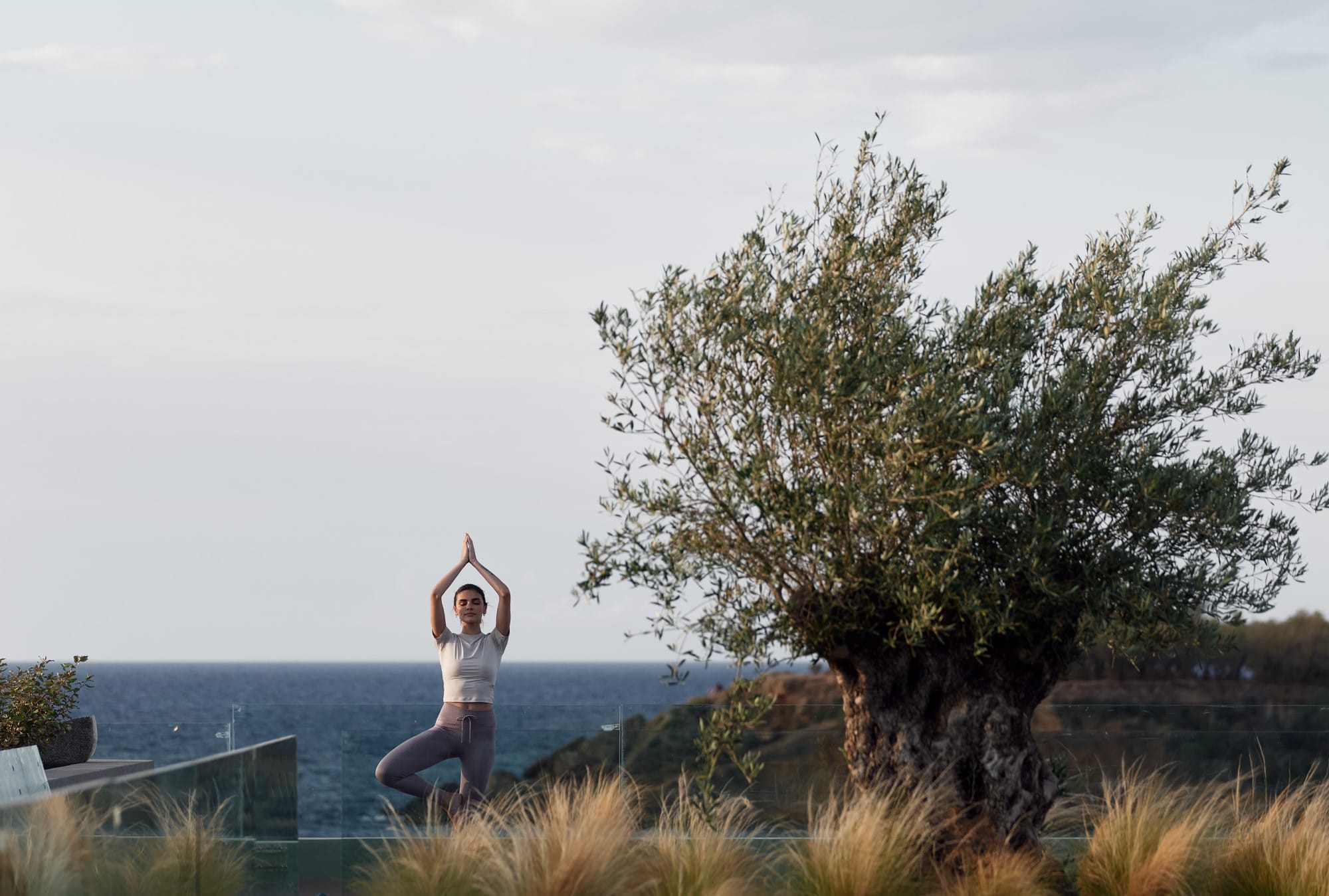 a person standing on a tree