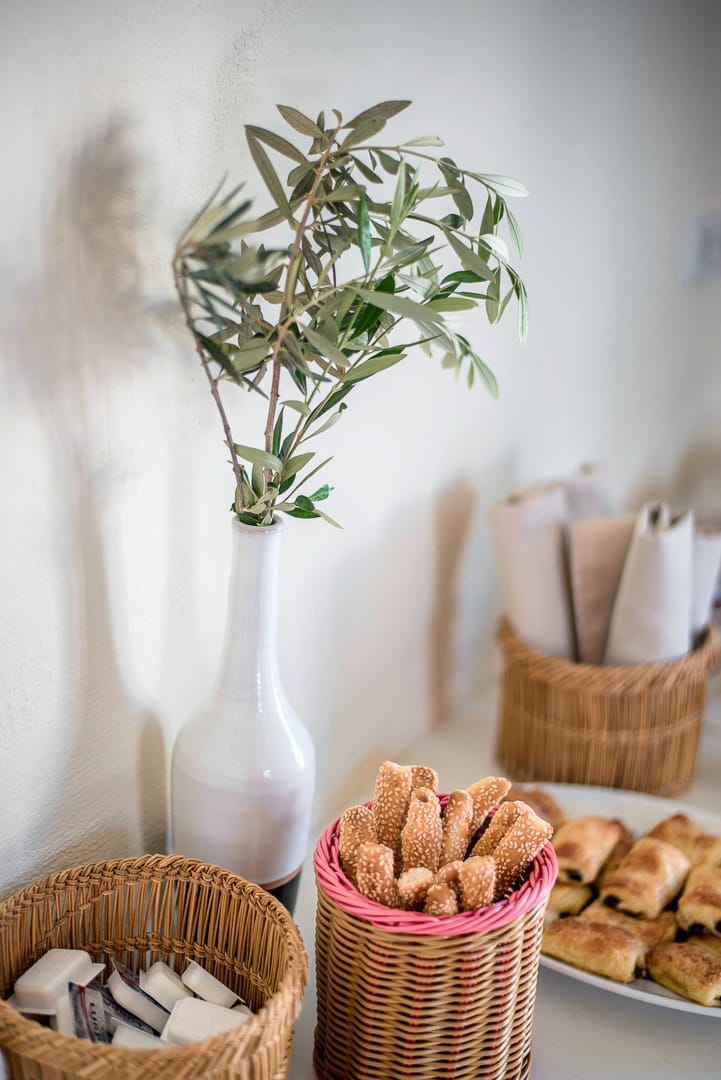 a vase with a plant in it