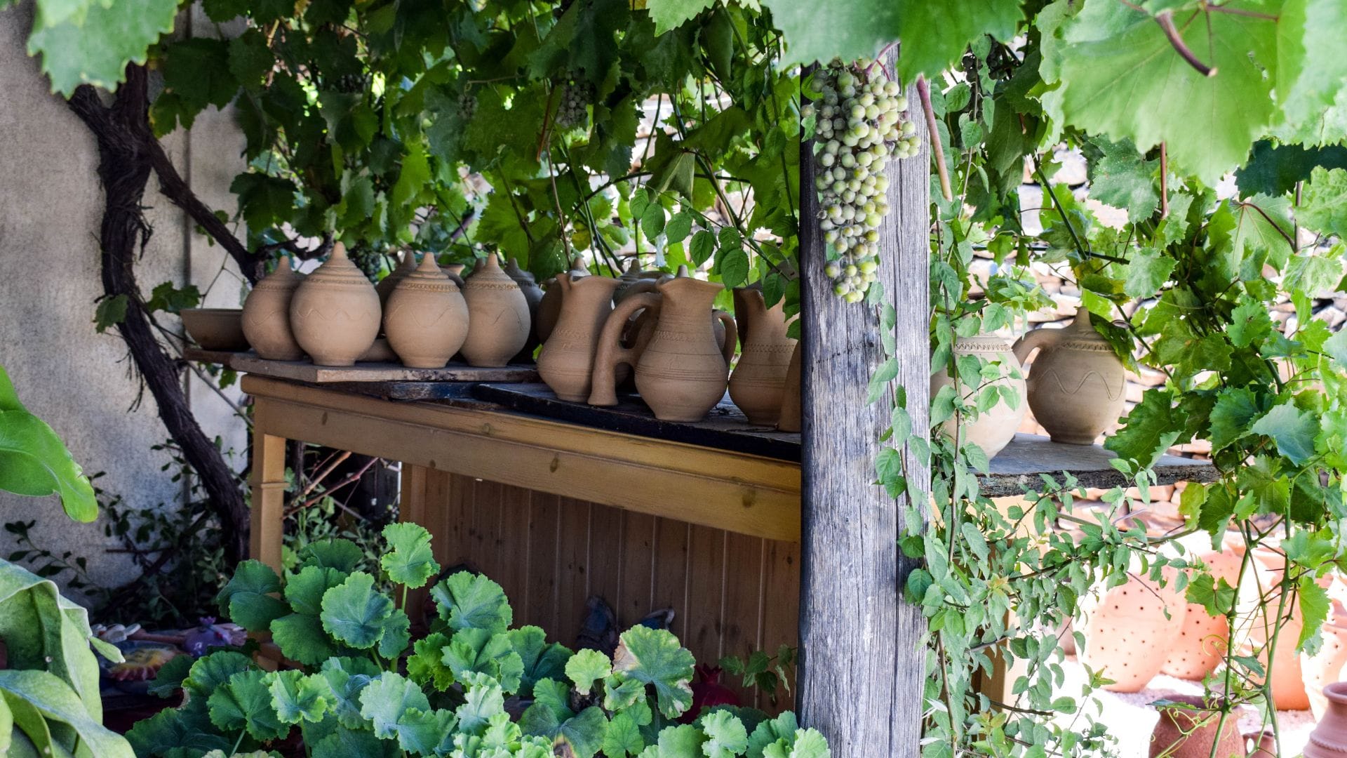 a shelf with pots and plants on it