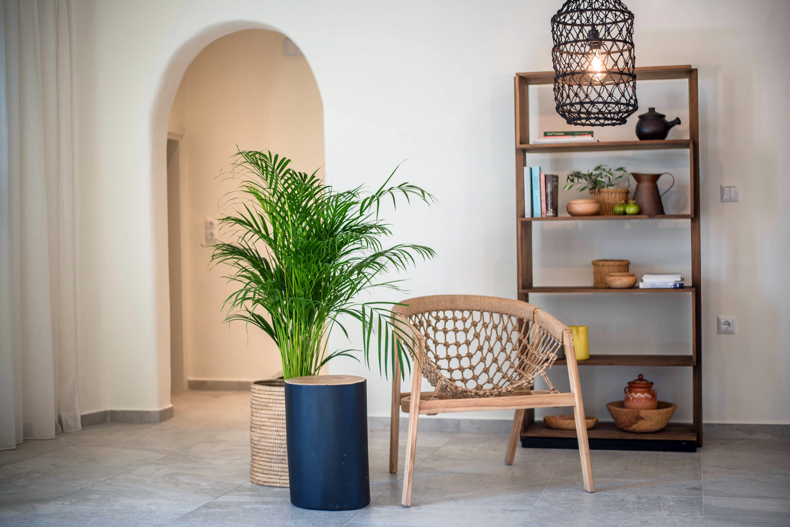 a chair and a plant in a room