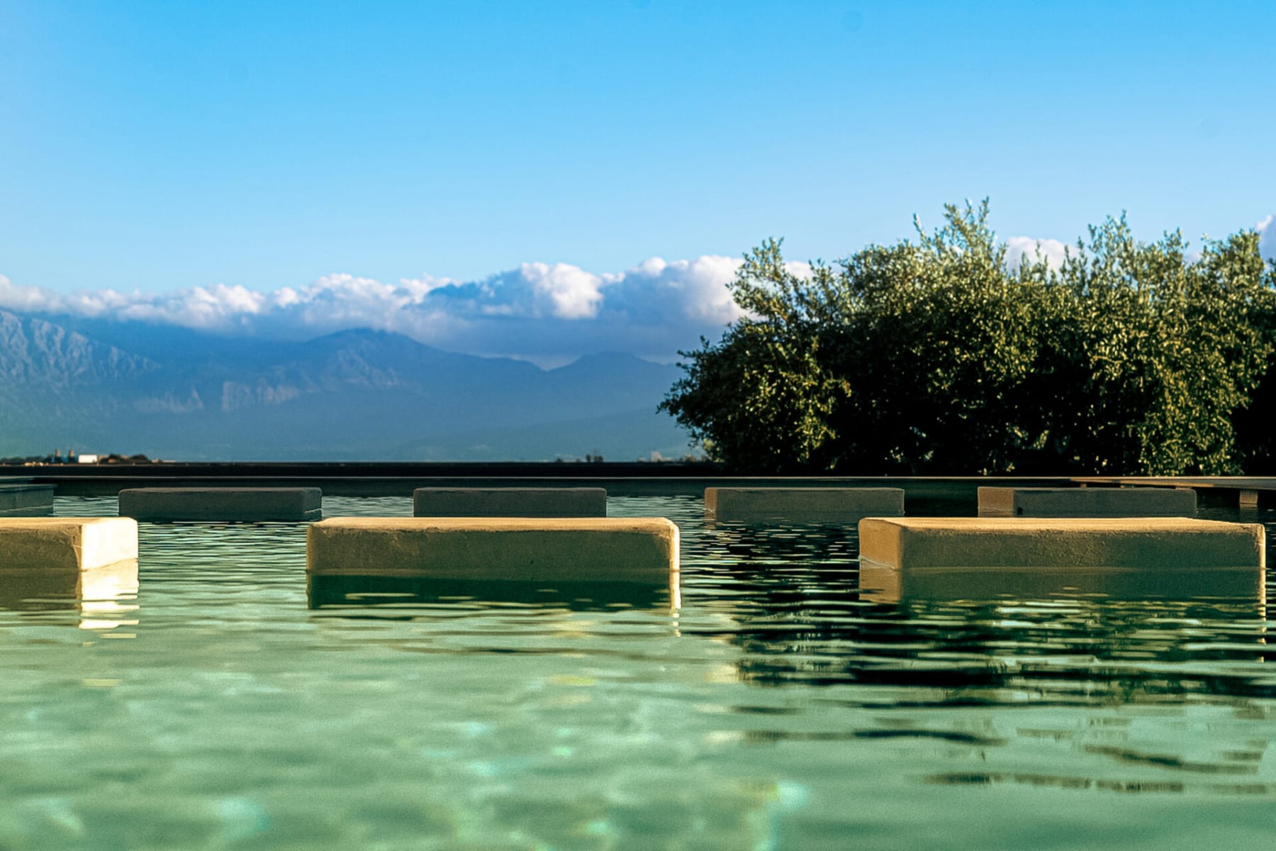 a pool with a bench and trees in the background