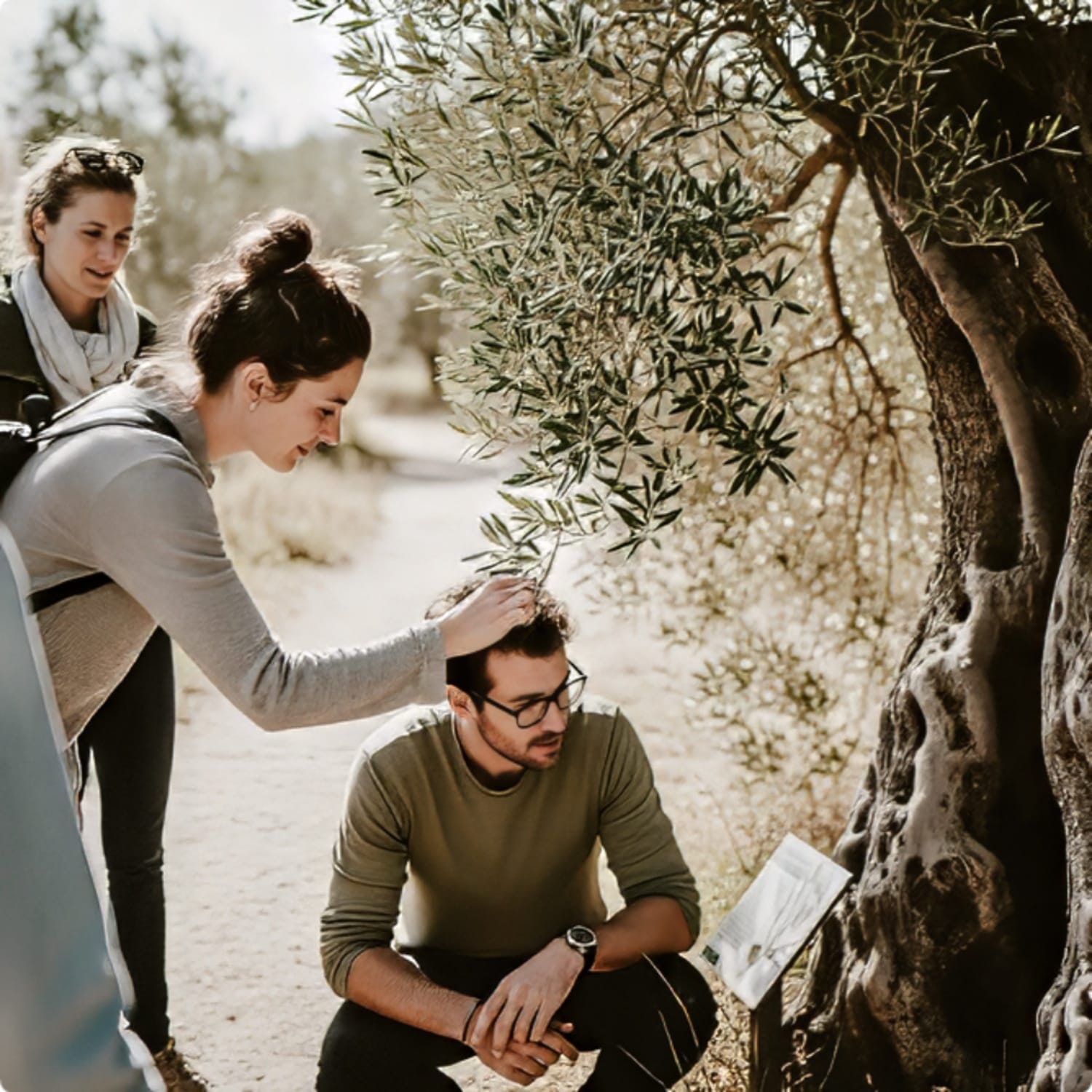 a group of people looking at a tree