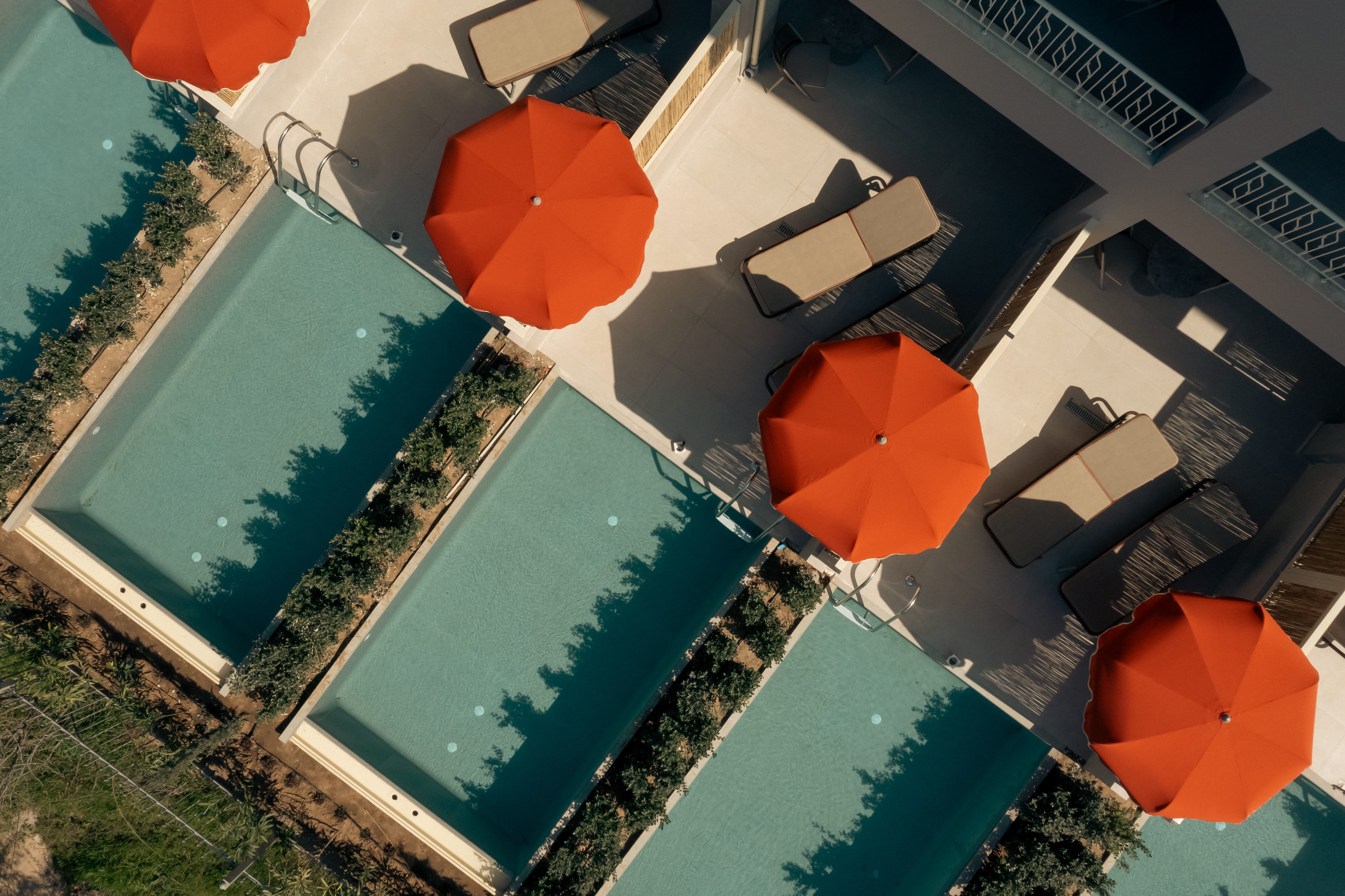 Zeus Eleva Kassandra Lagoon