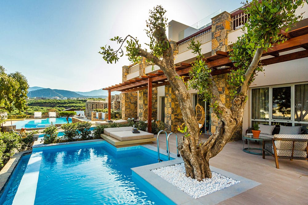 a pool with a tree in the front