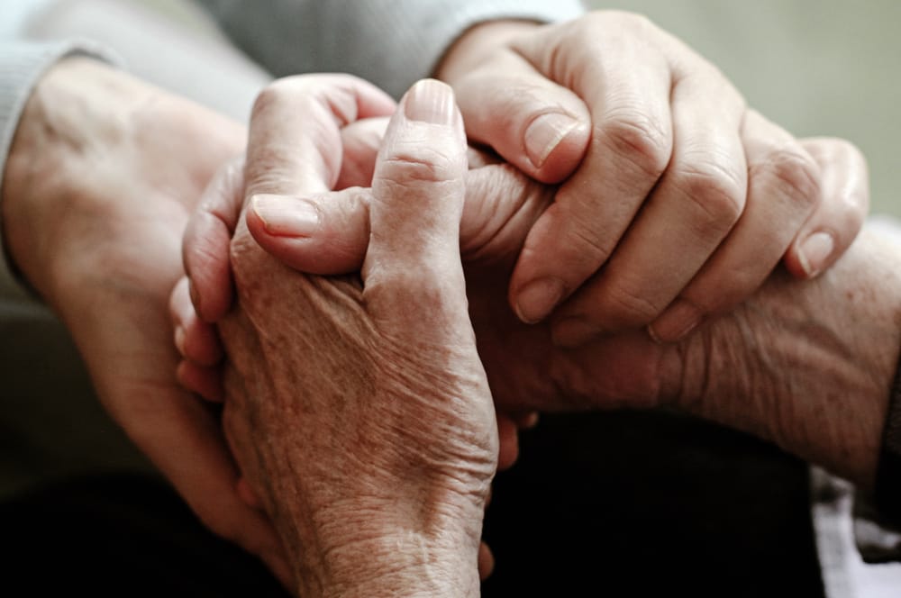 a close-up of hands holding each other