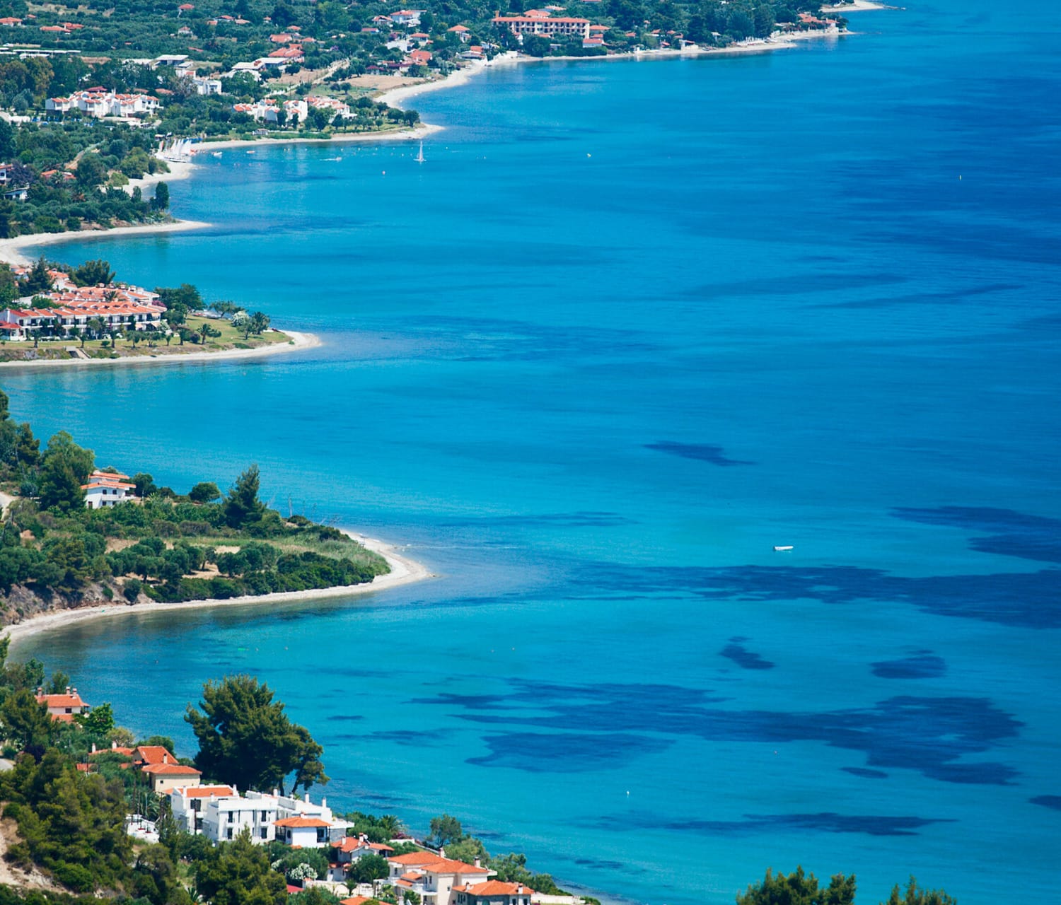 a body of water with buildings and trees around it