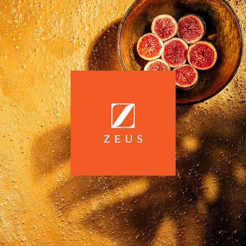 graphical user interface, website