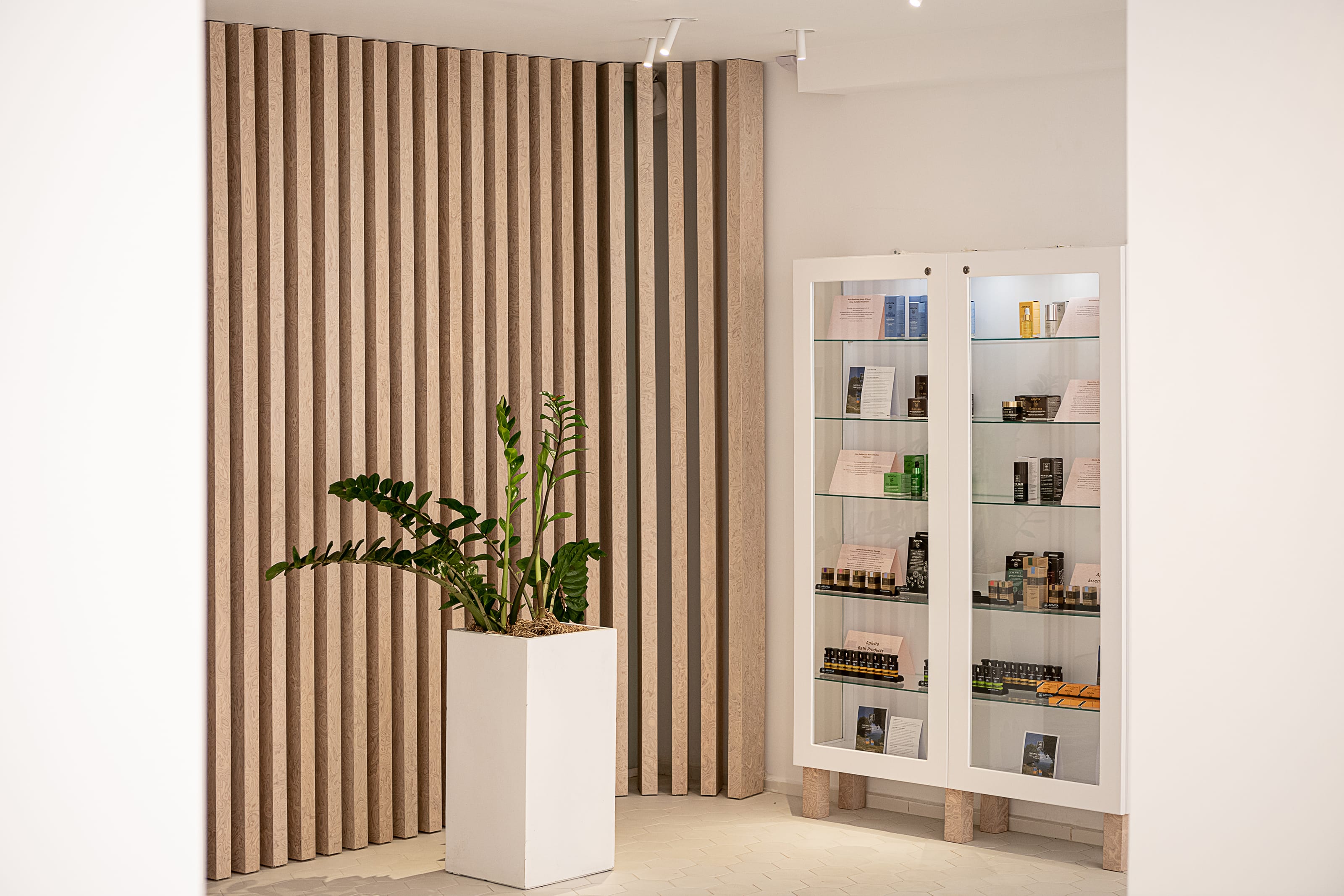 a room with a bookcase and a plant in it