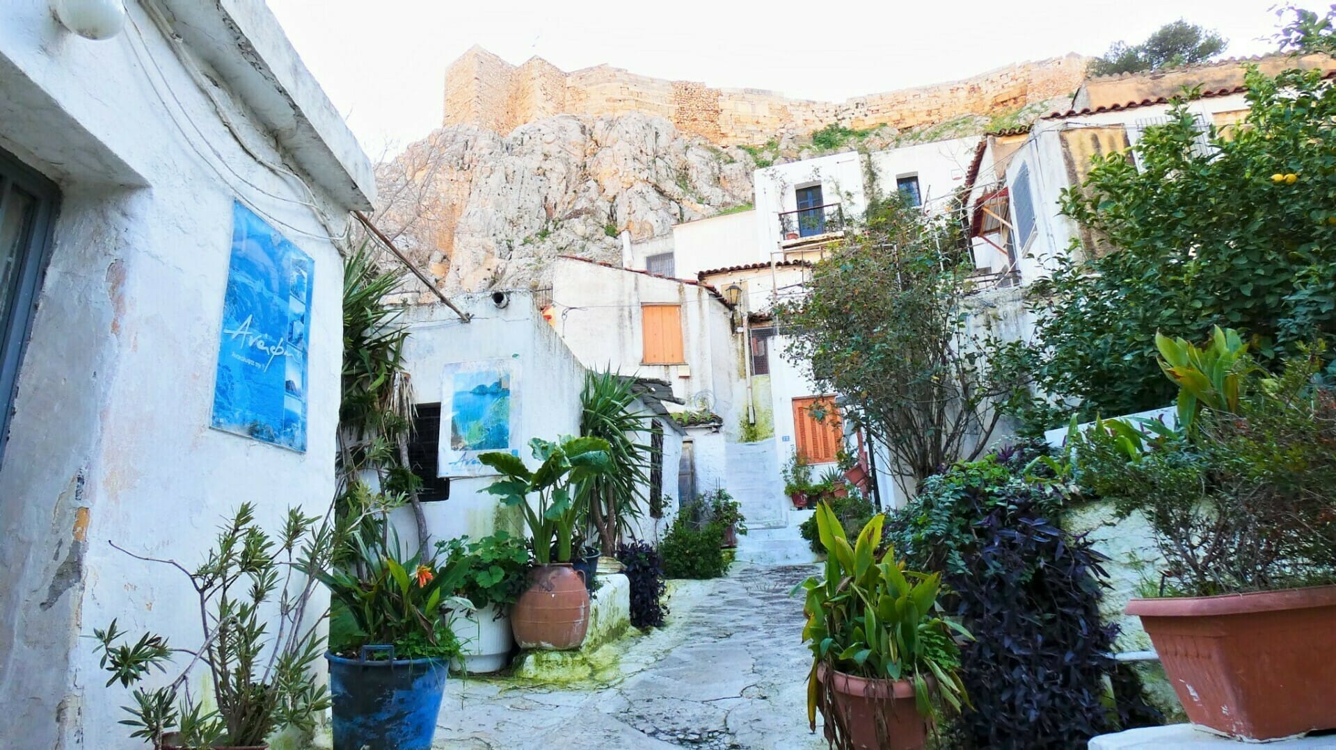 a courtyard with plants and buildings