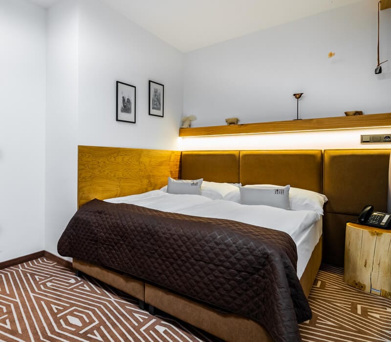 Pokoj Standard - Depandance