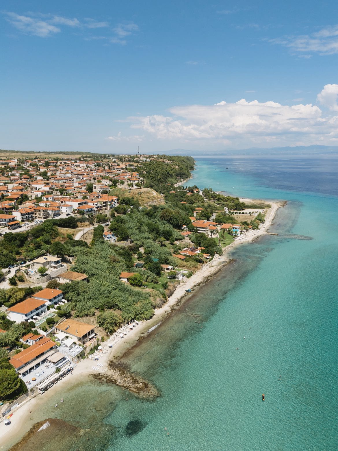 a beach with houses and trees