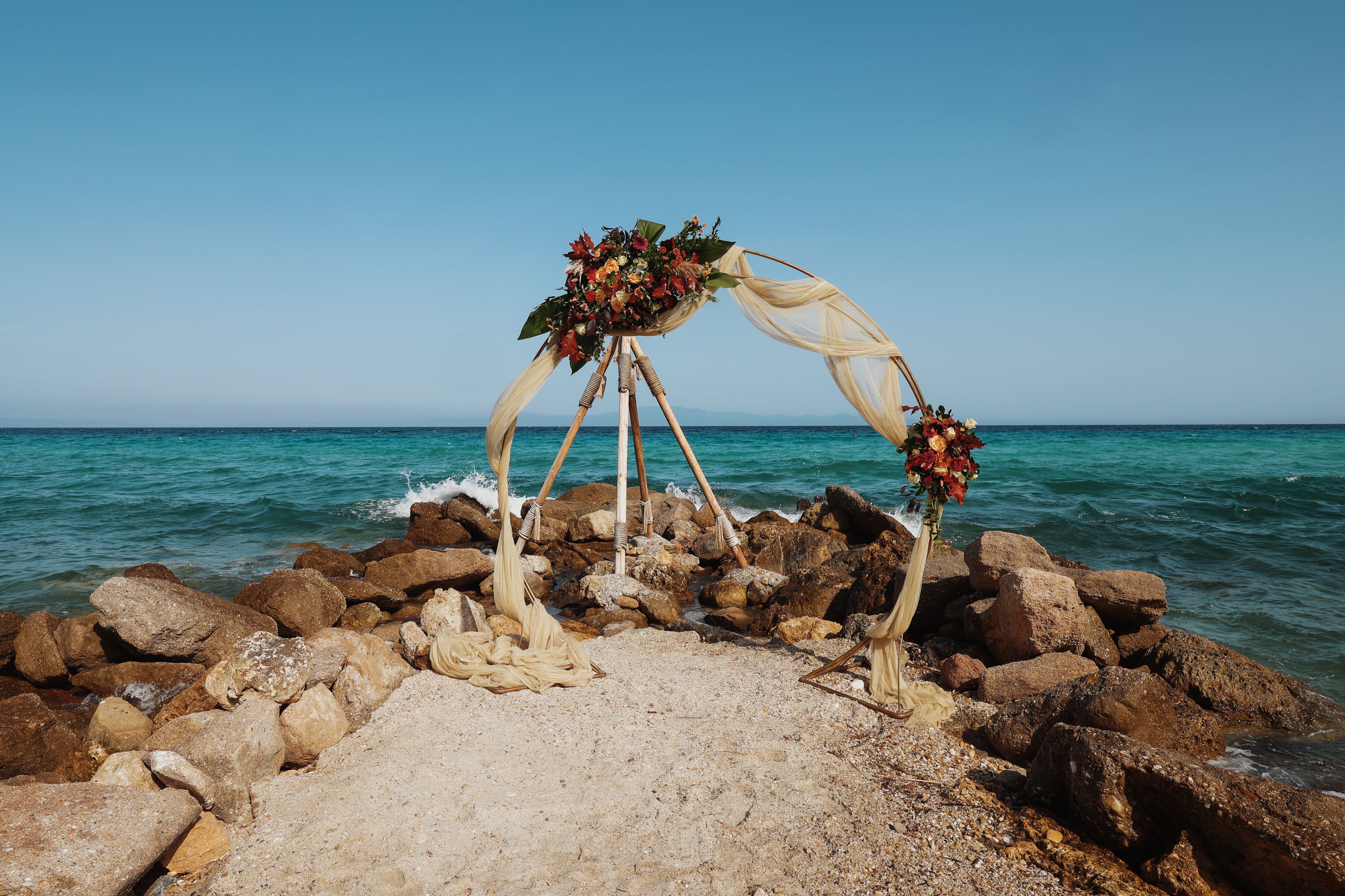a couple of flowers on a rocky beach