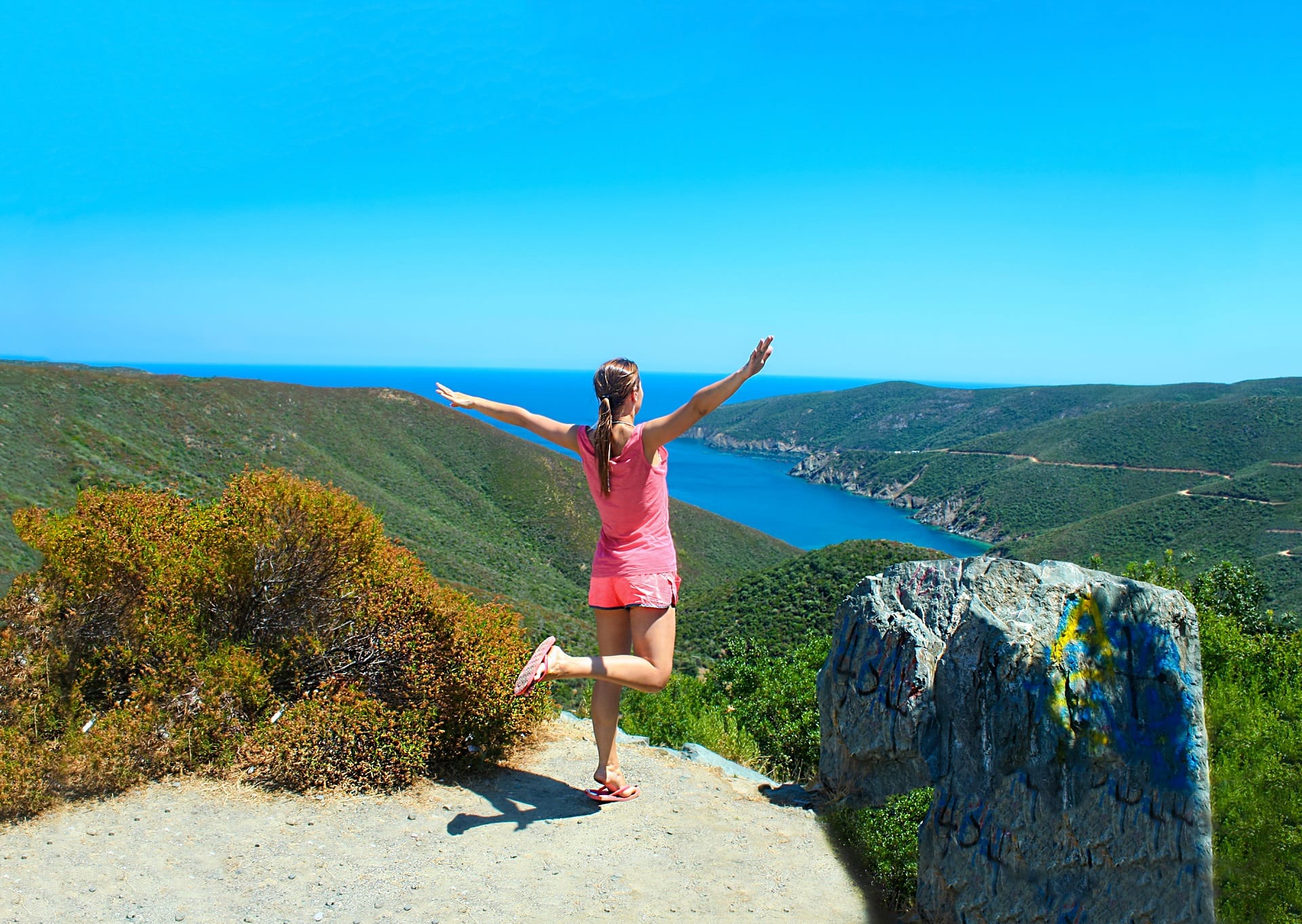 shutterstock_423239404