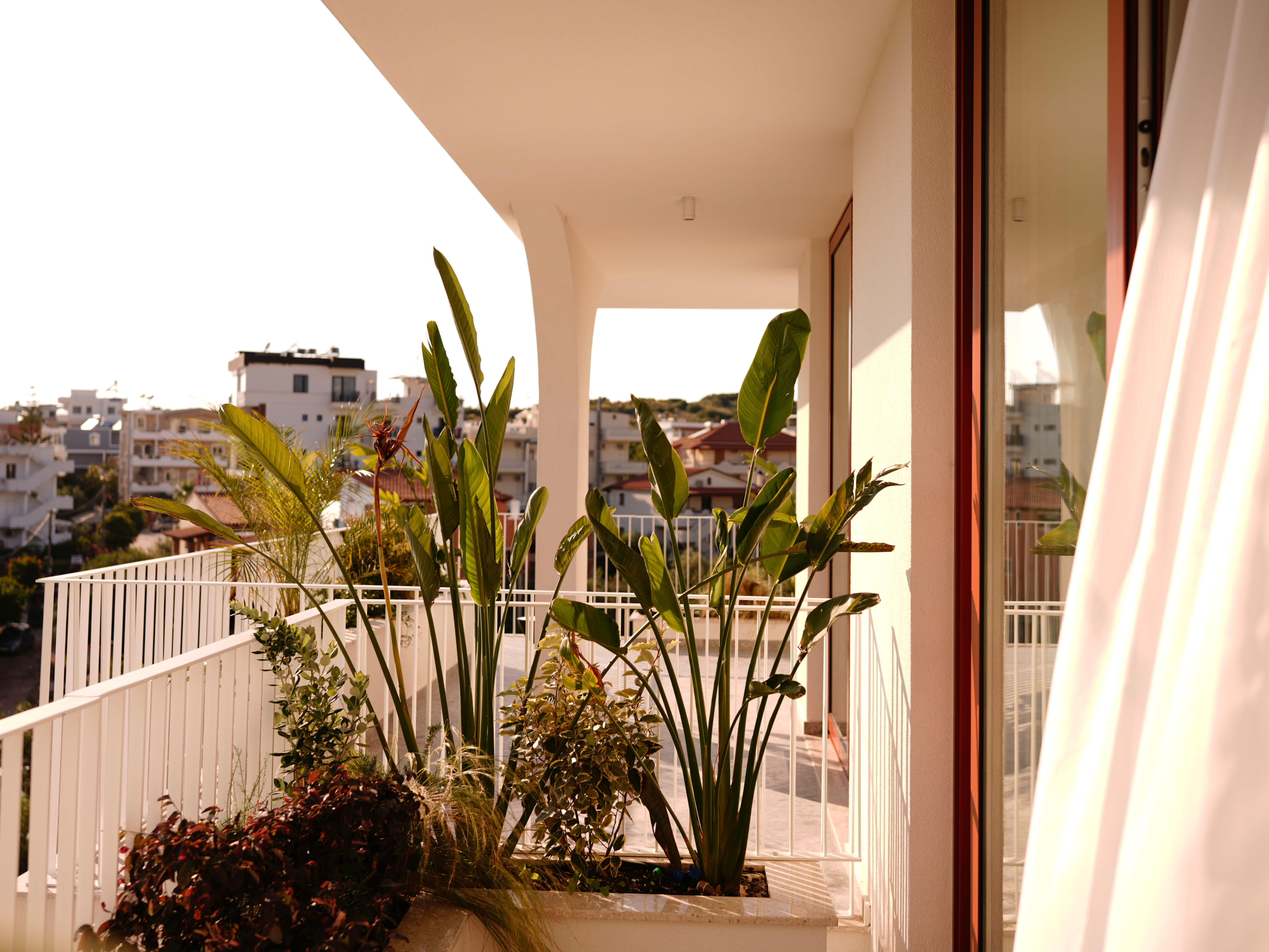 a balcony with plants on it