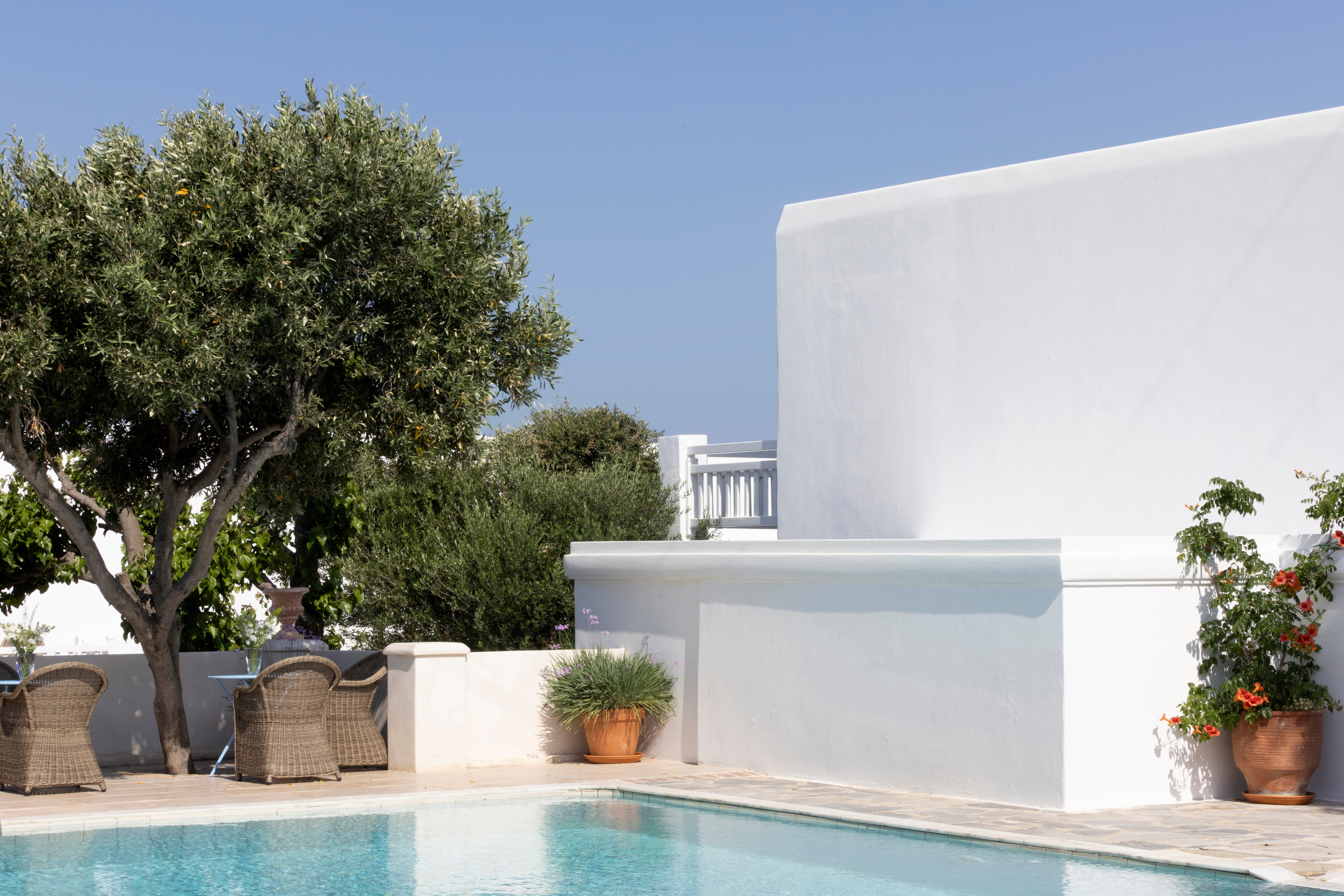 a pool with a tree and a building in the background