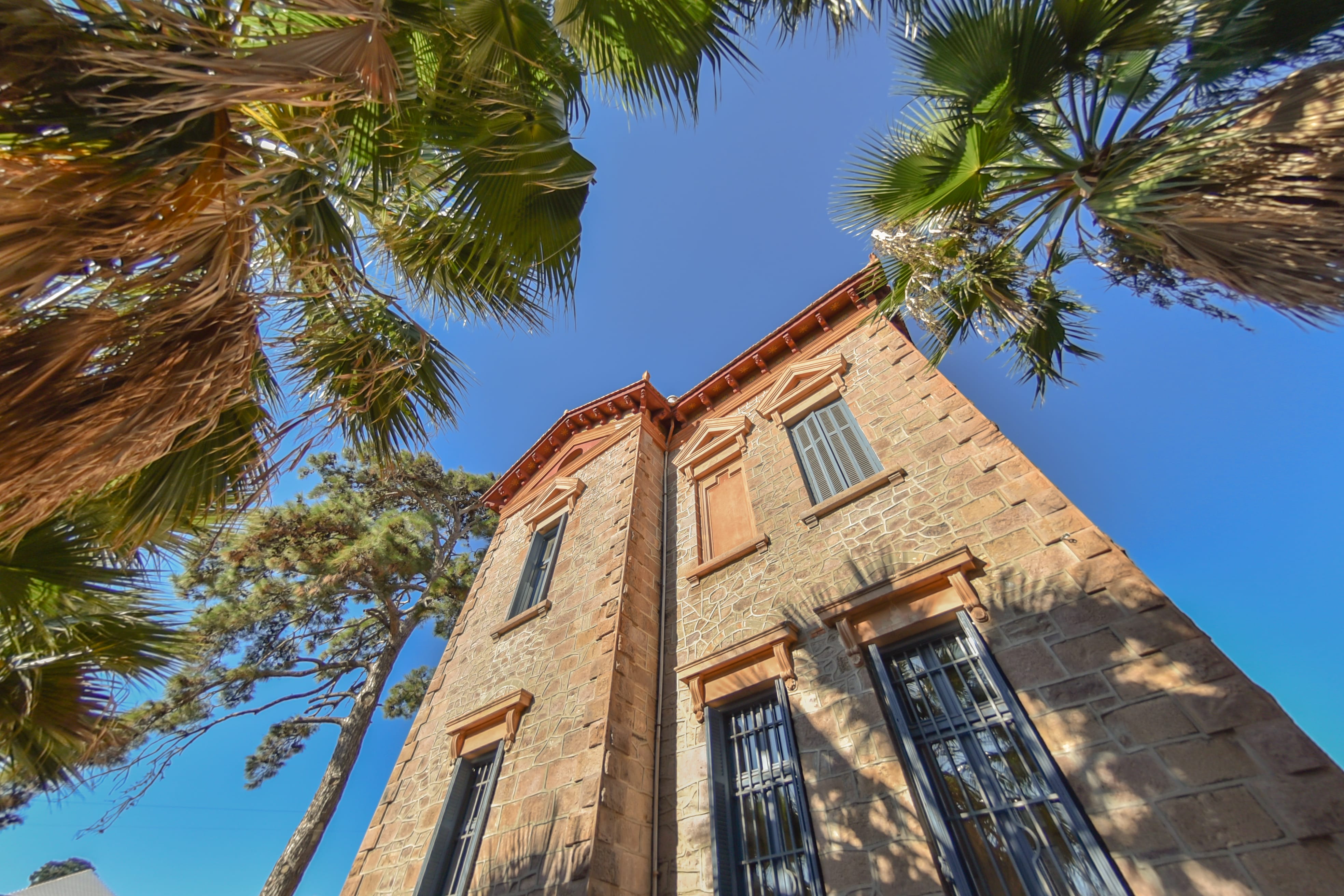 a tall building with palm trees
