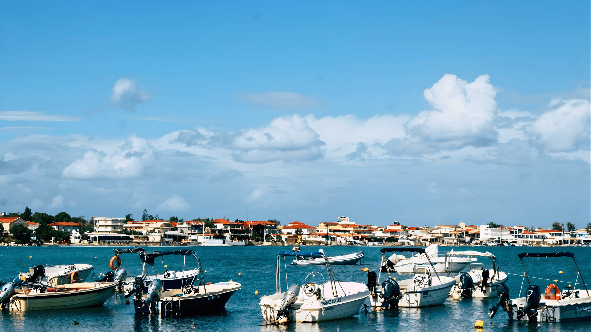 boats in a harbor