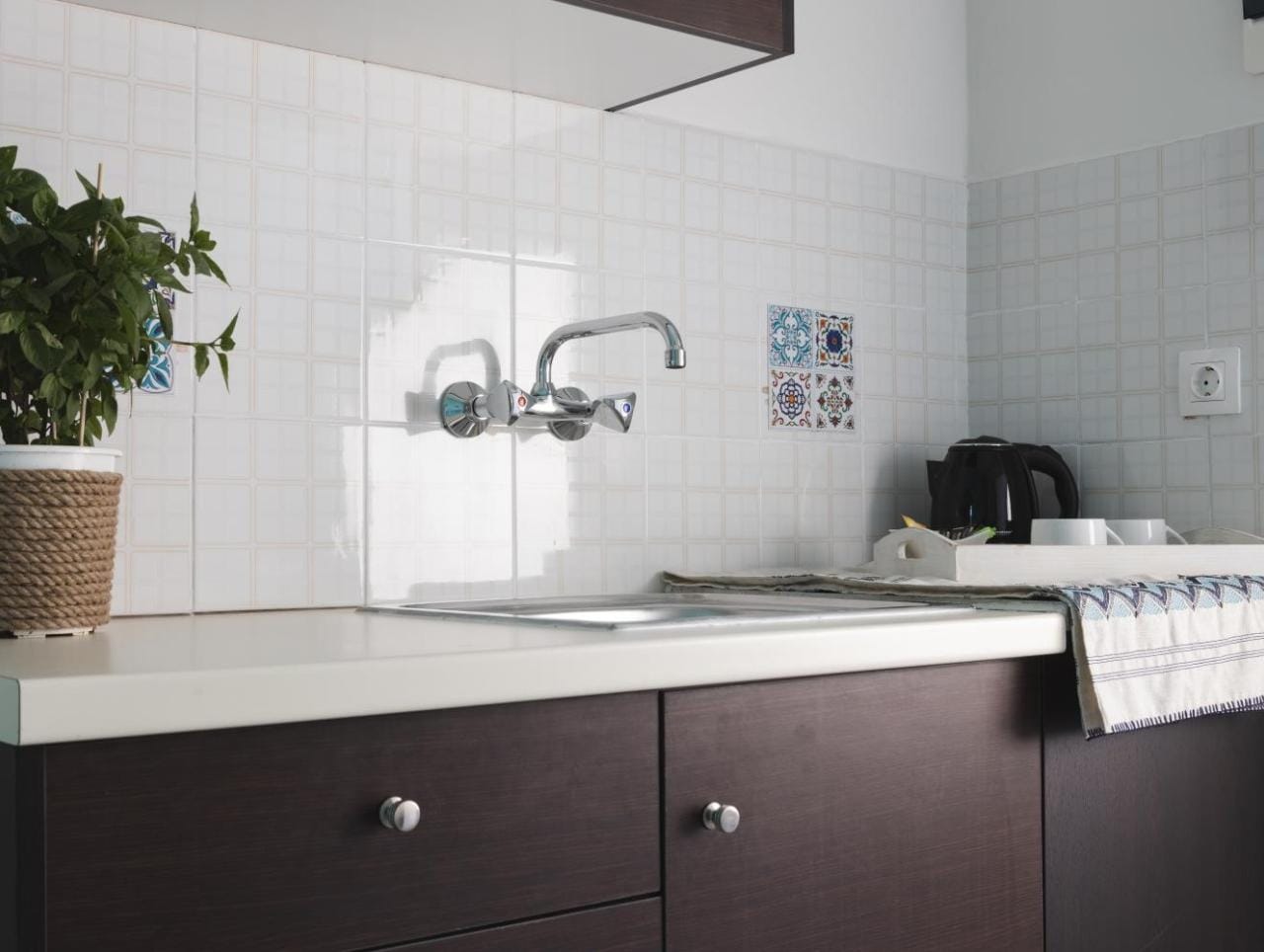a kitchen with a sink and a plant