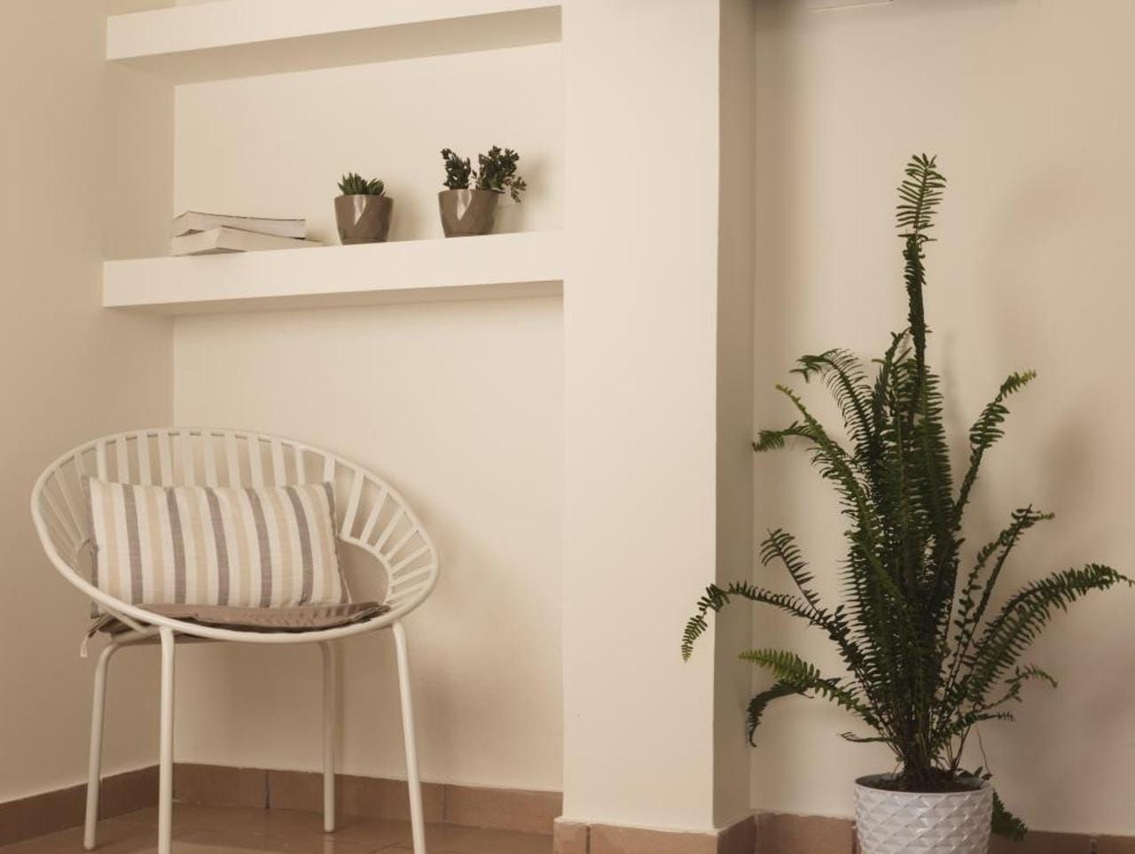 a white chair and a plant