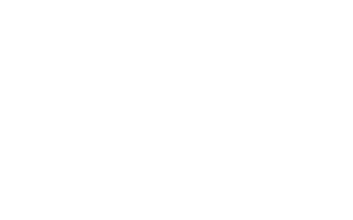 THE INORA