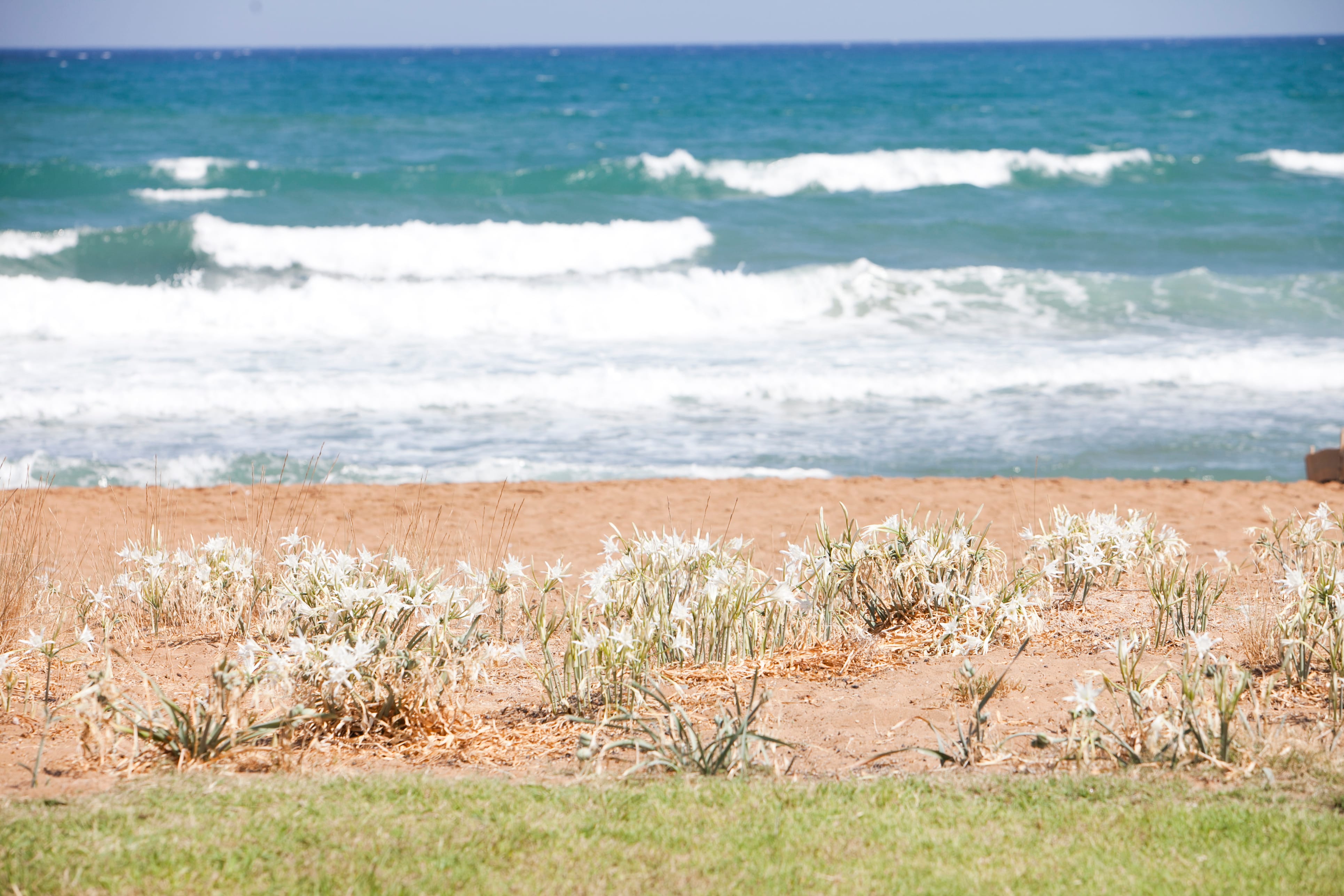 a beach with waves crashing