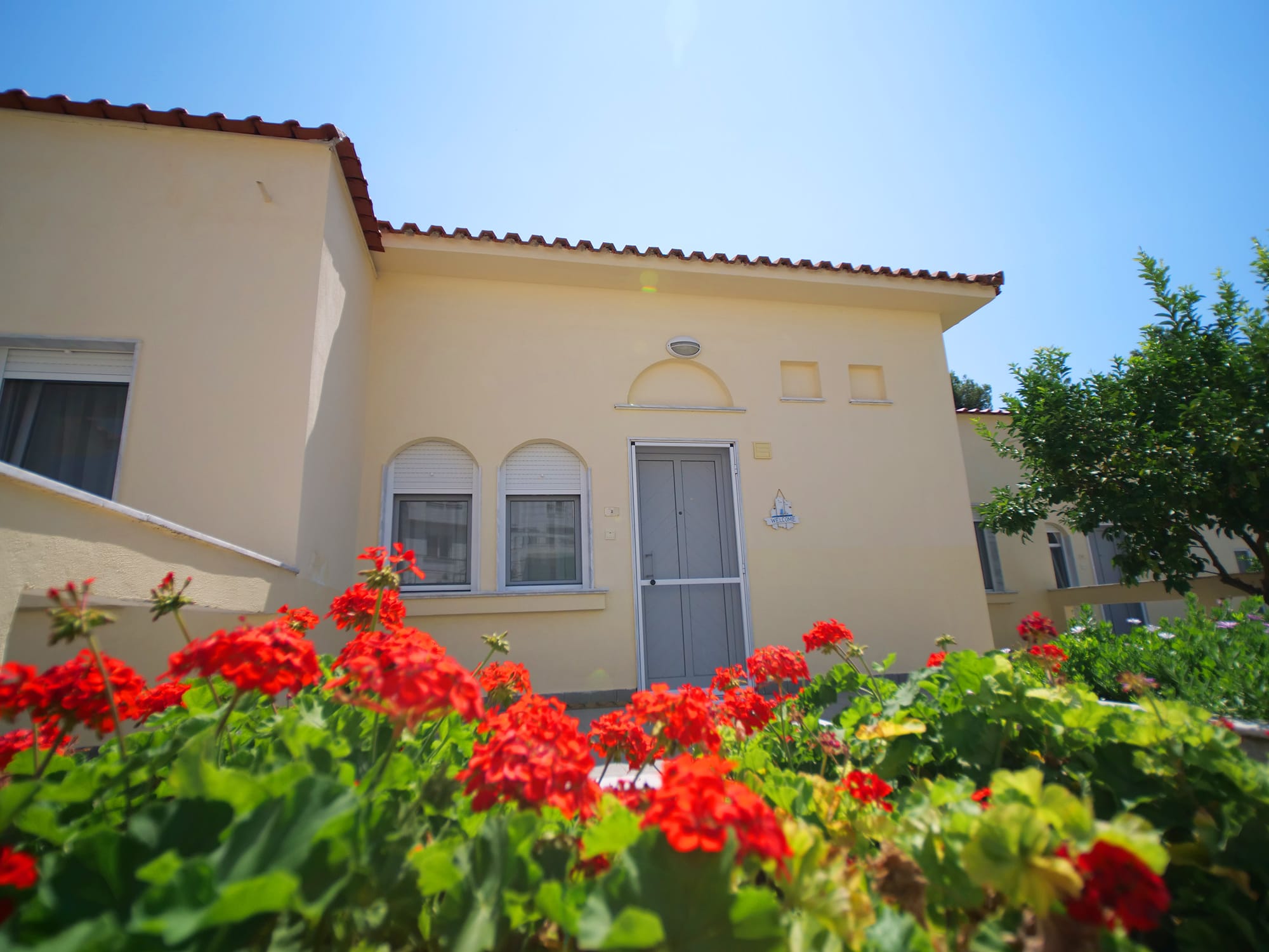 a house with red flowers