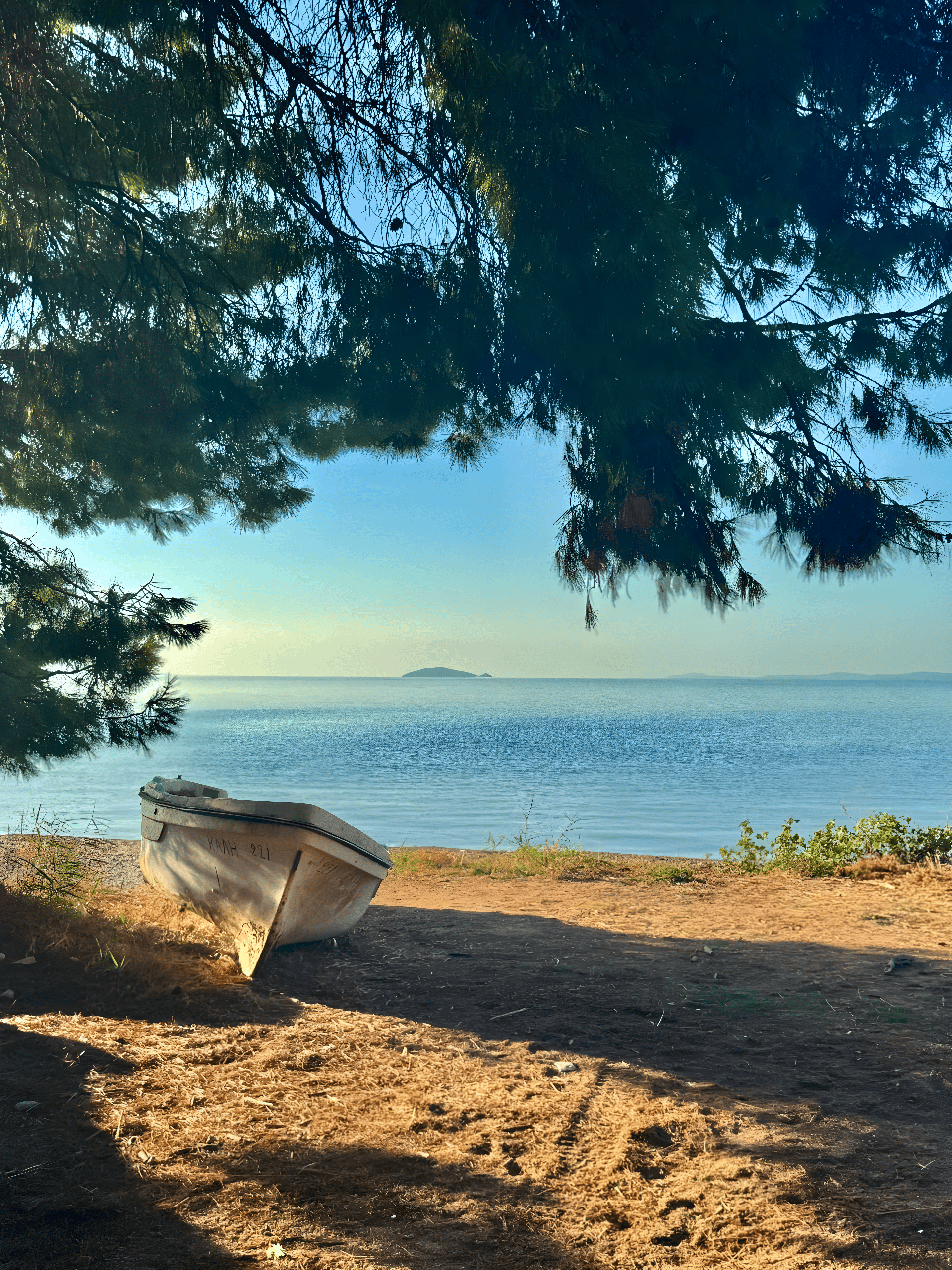 a boat sits on the shore of a beach
