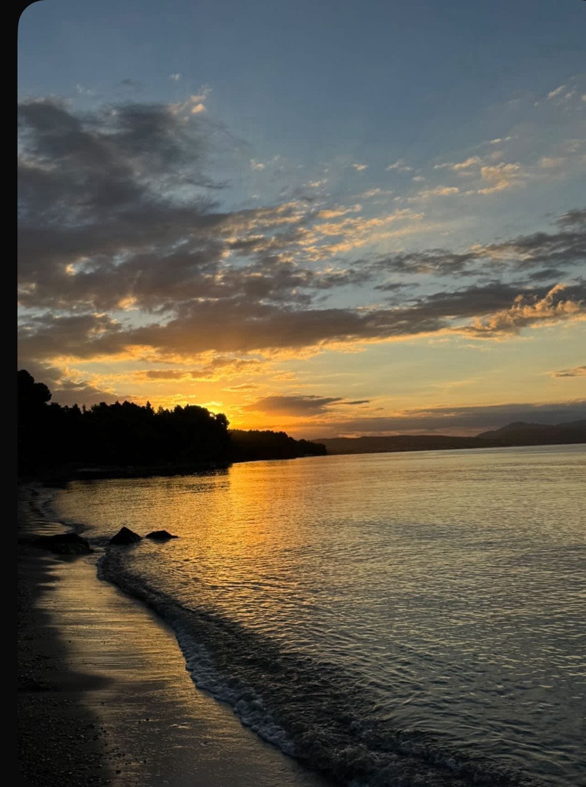 a beach with a body of water and trees in the background