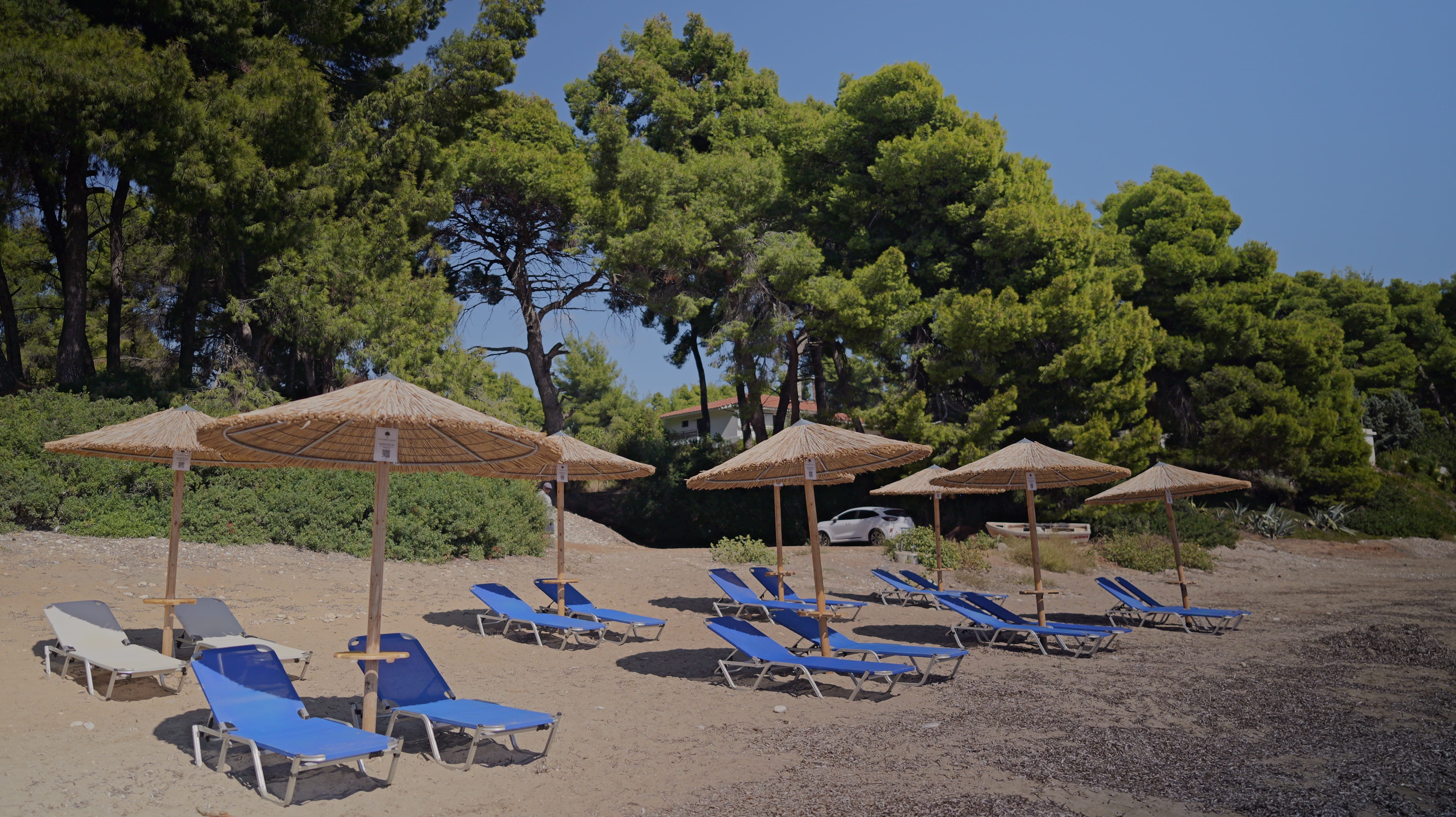chairs and umbrellas on a beach