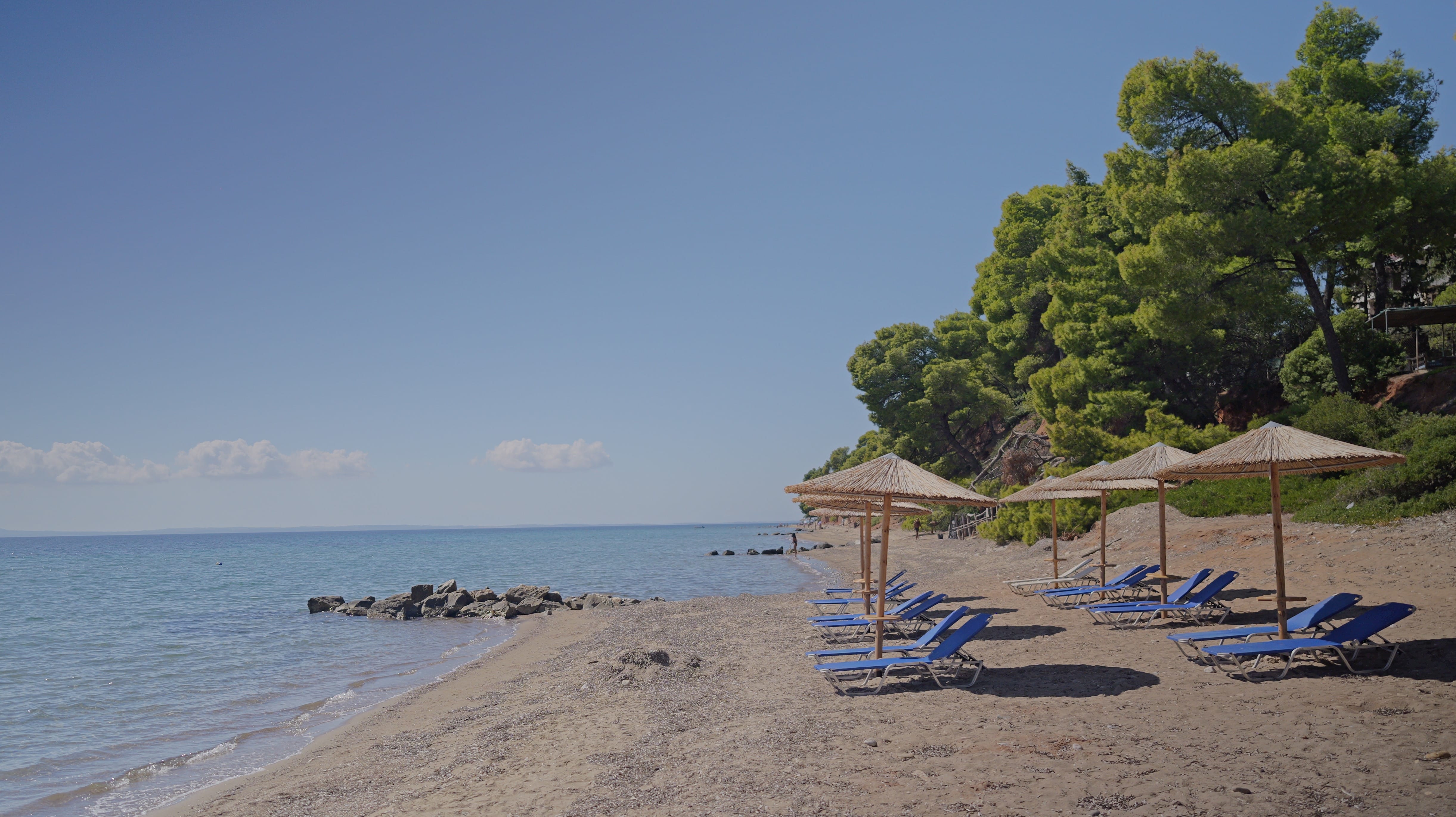 a beach with chairs and umbrellas