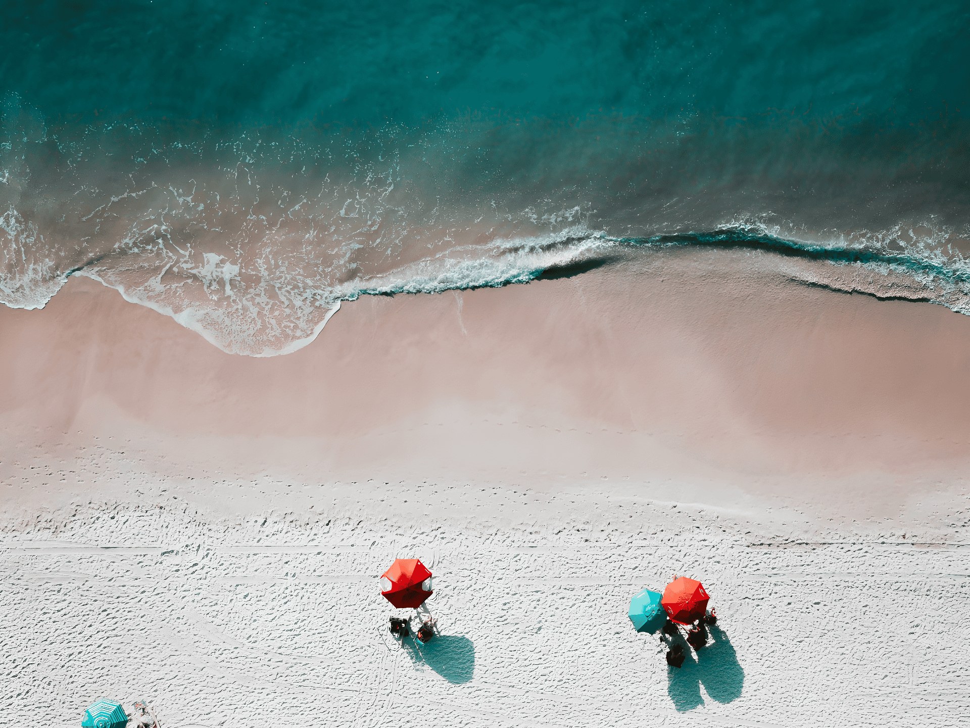 a group of people in the sand