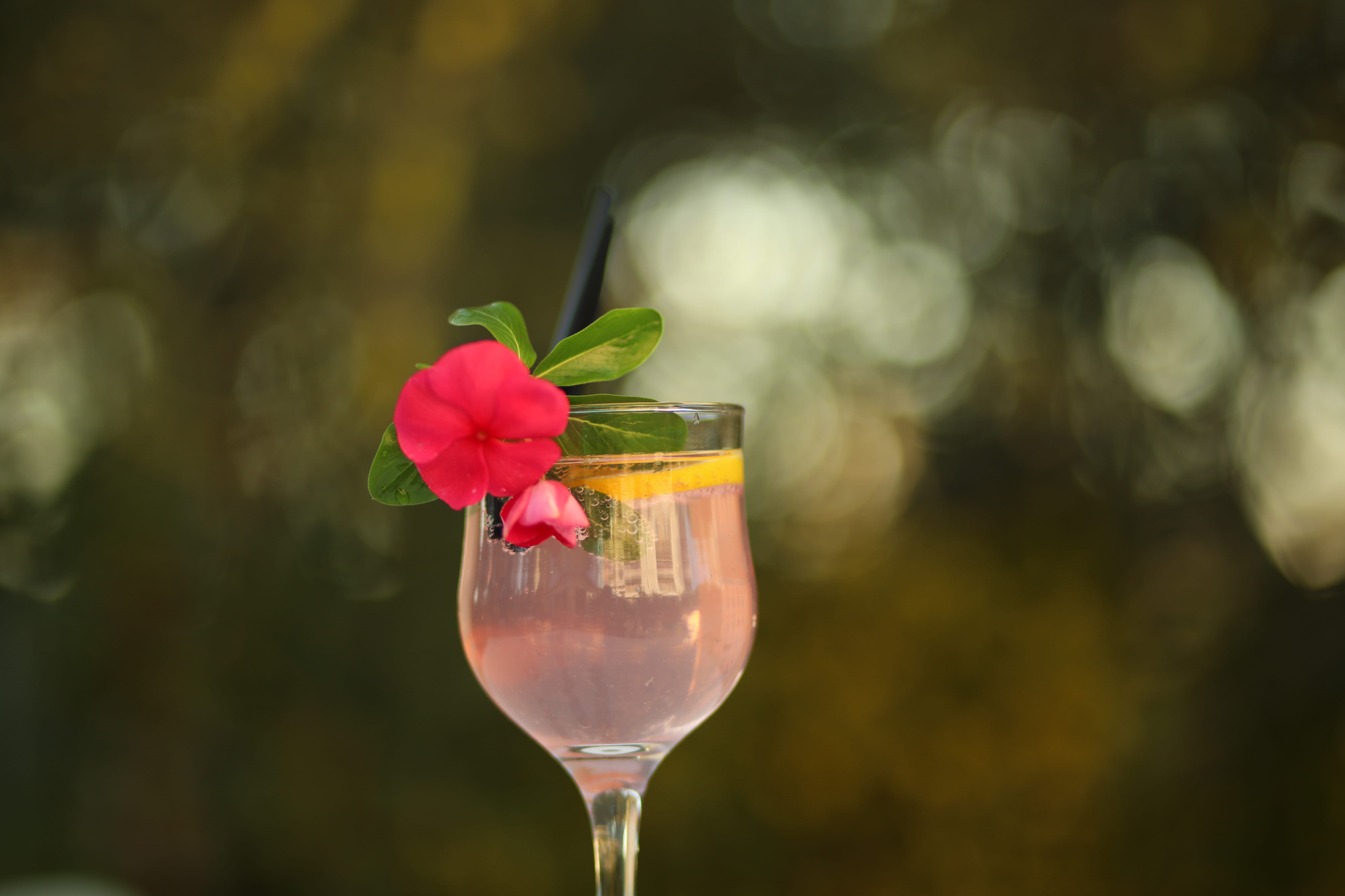 a glass of pink wine with a rose on top