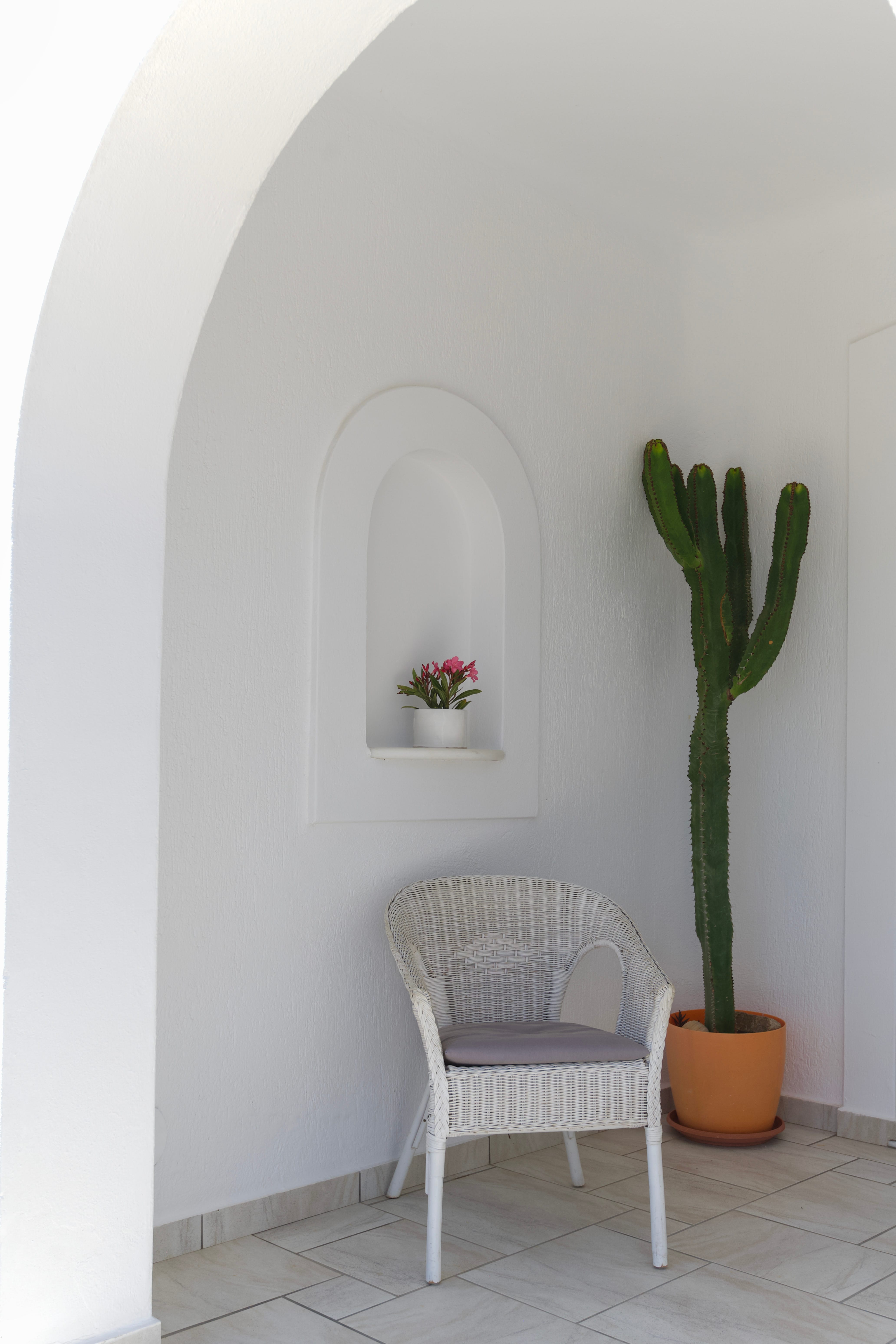 a white chair and a plant in a white room