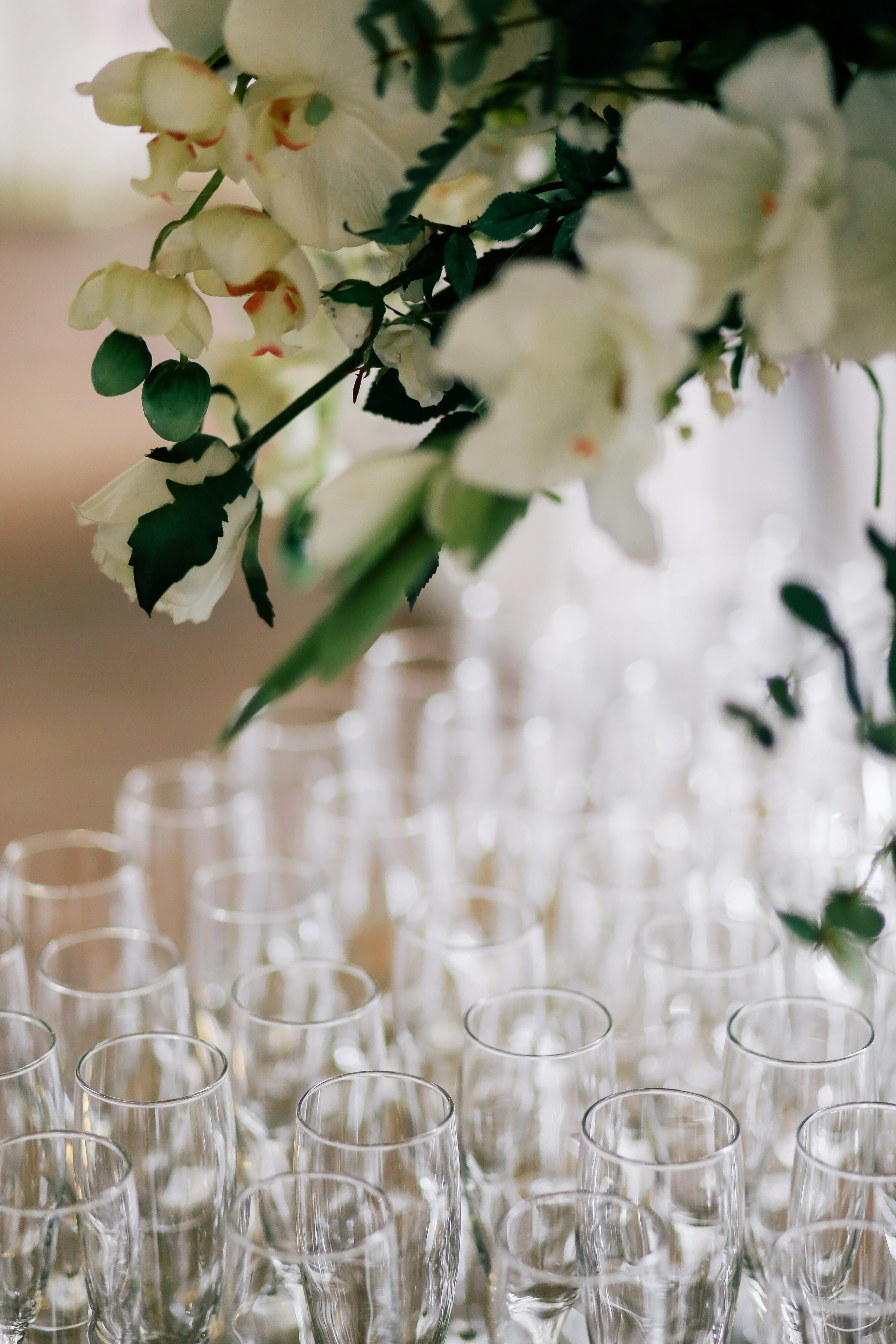 a group of empty glasses