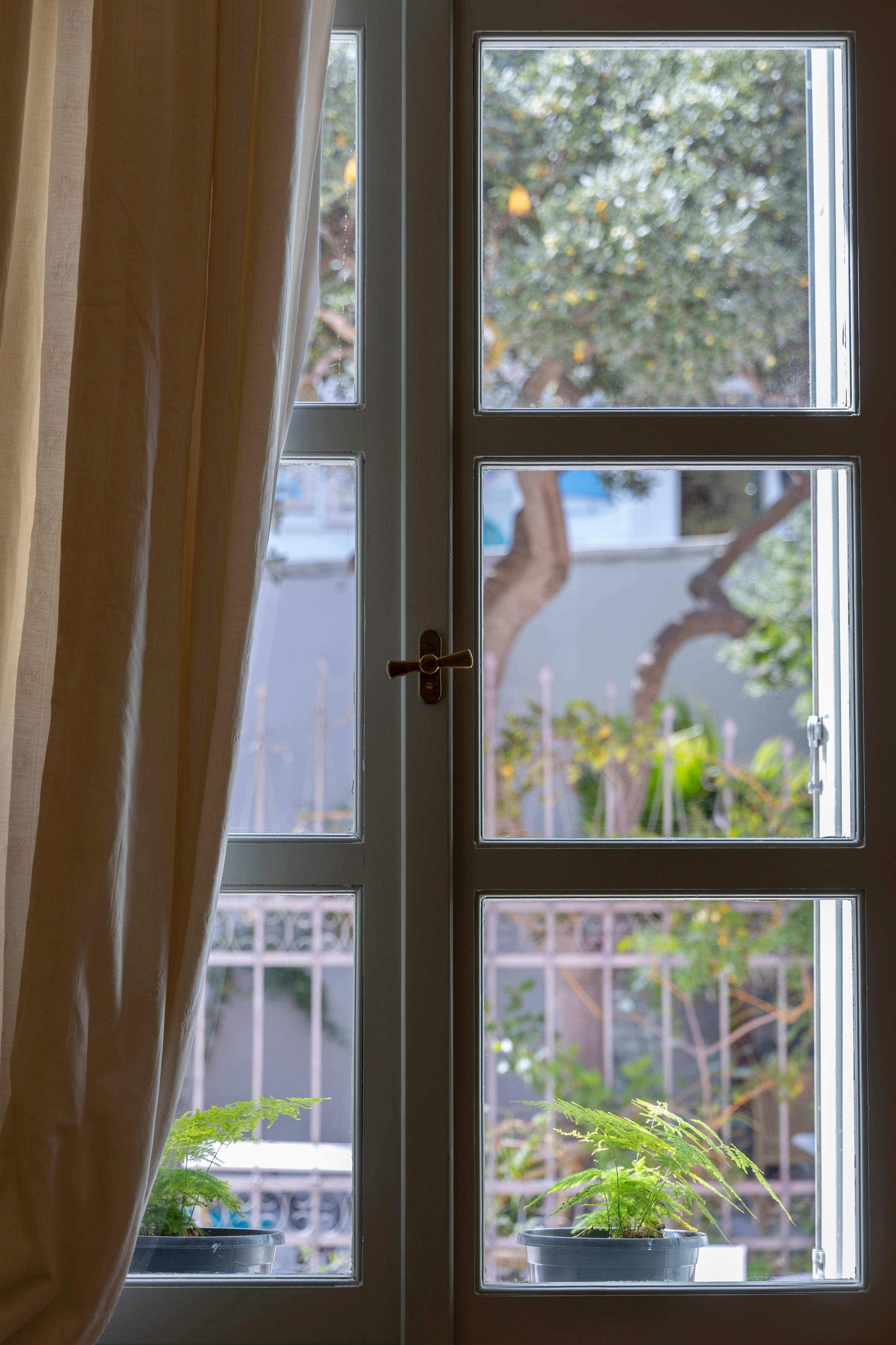 a window with a bird on it