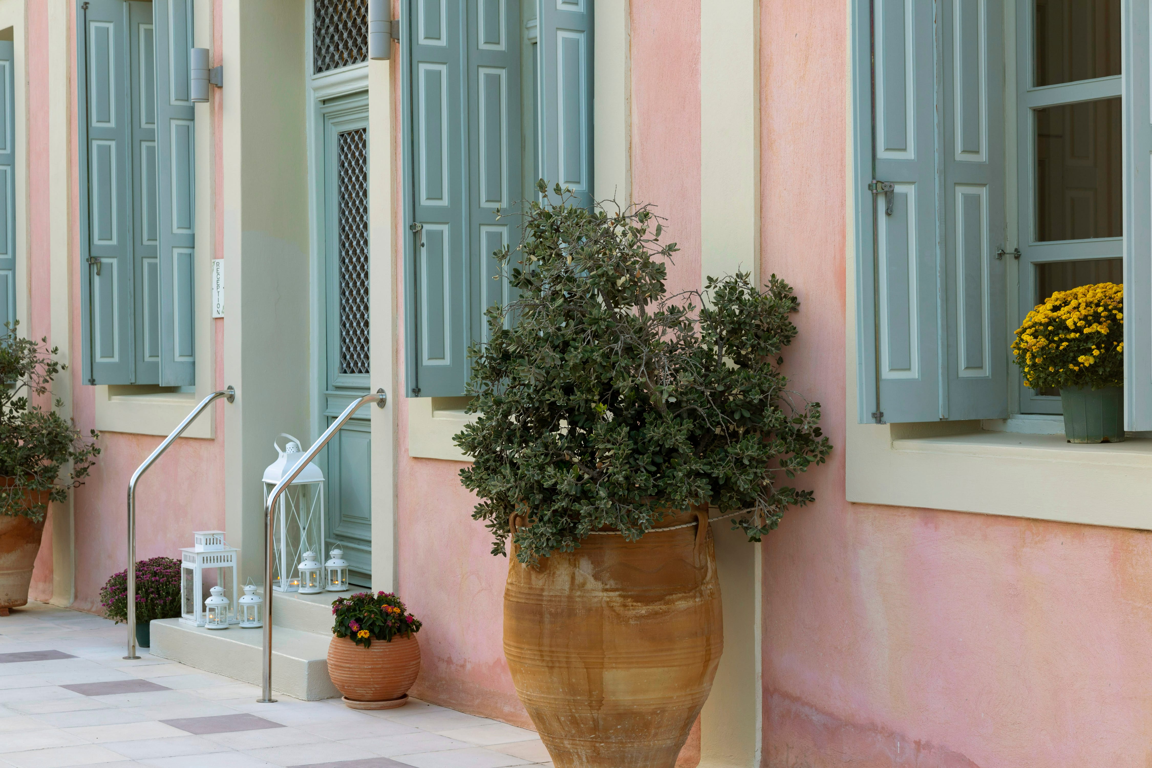 a group of potted plants outside a building