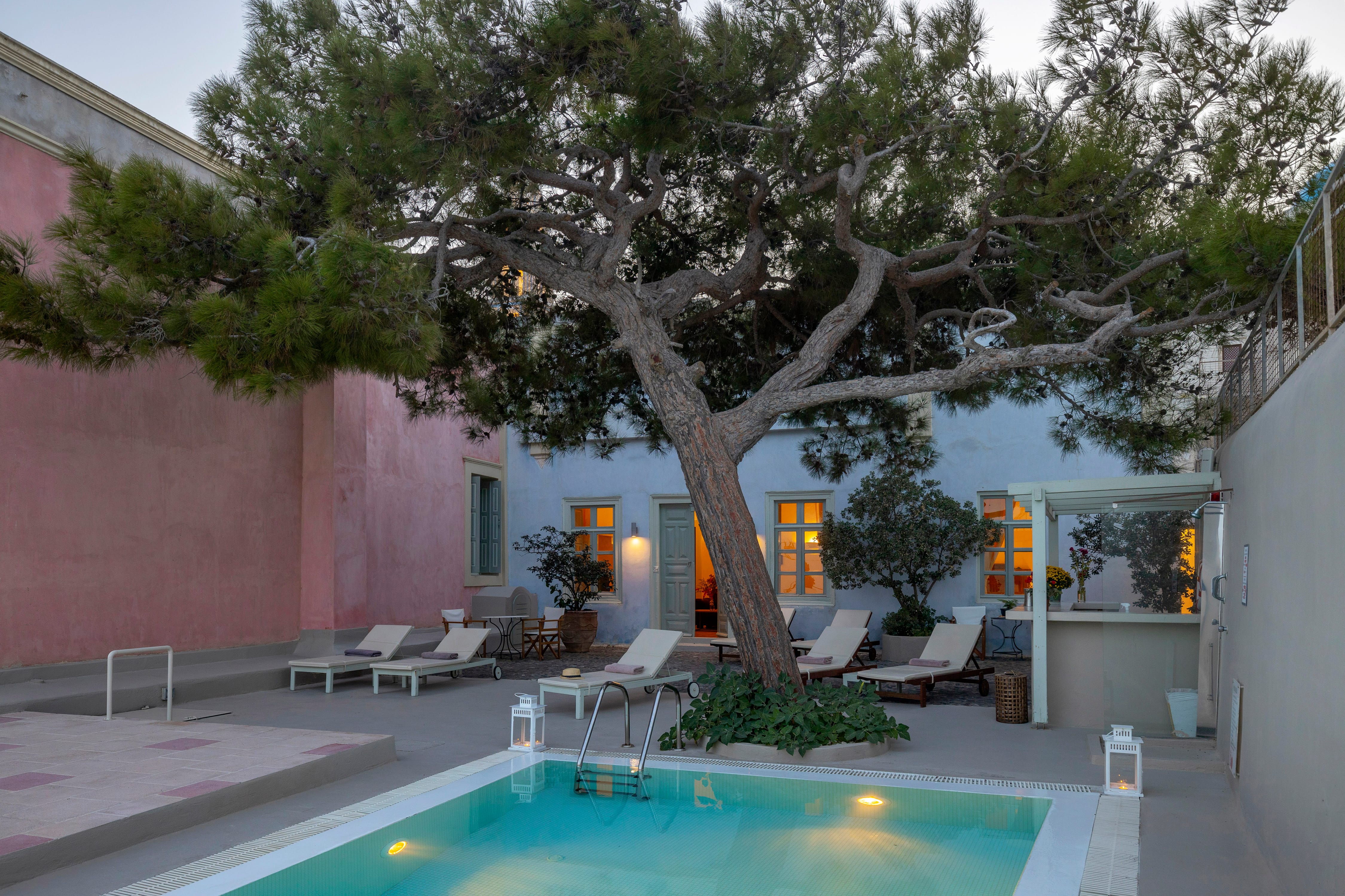a pool with a tree in the background