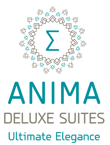 logo-anima-1-1-1