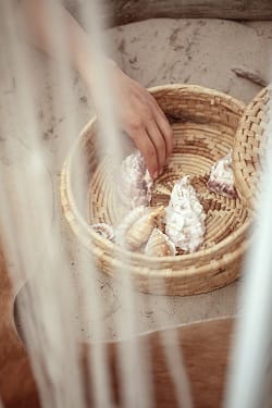 shutterstock_2013752654