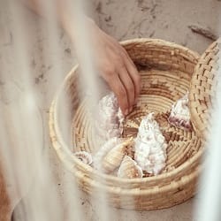 shutterstock_2013752654