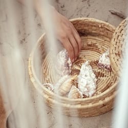 shutterstock_2013752654