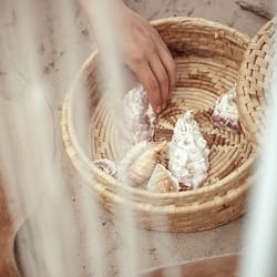 shutterstock_2013752654