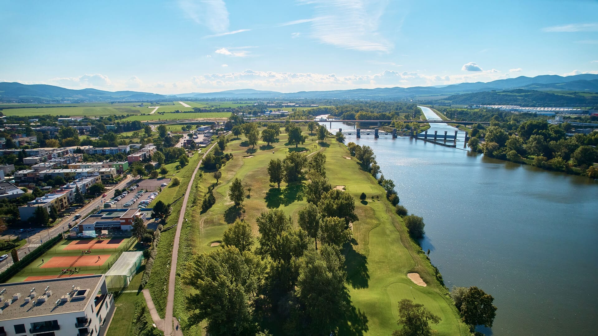 a river with a bridge and trees