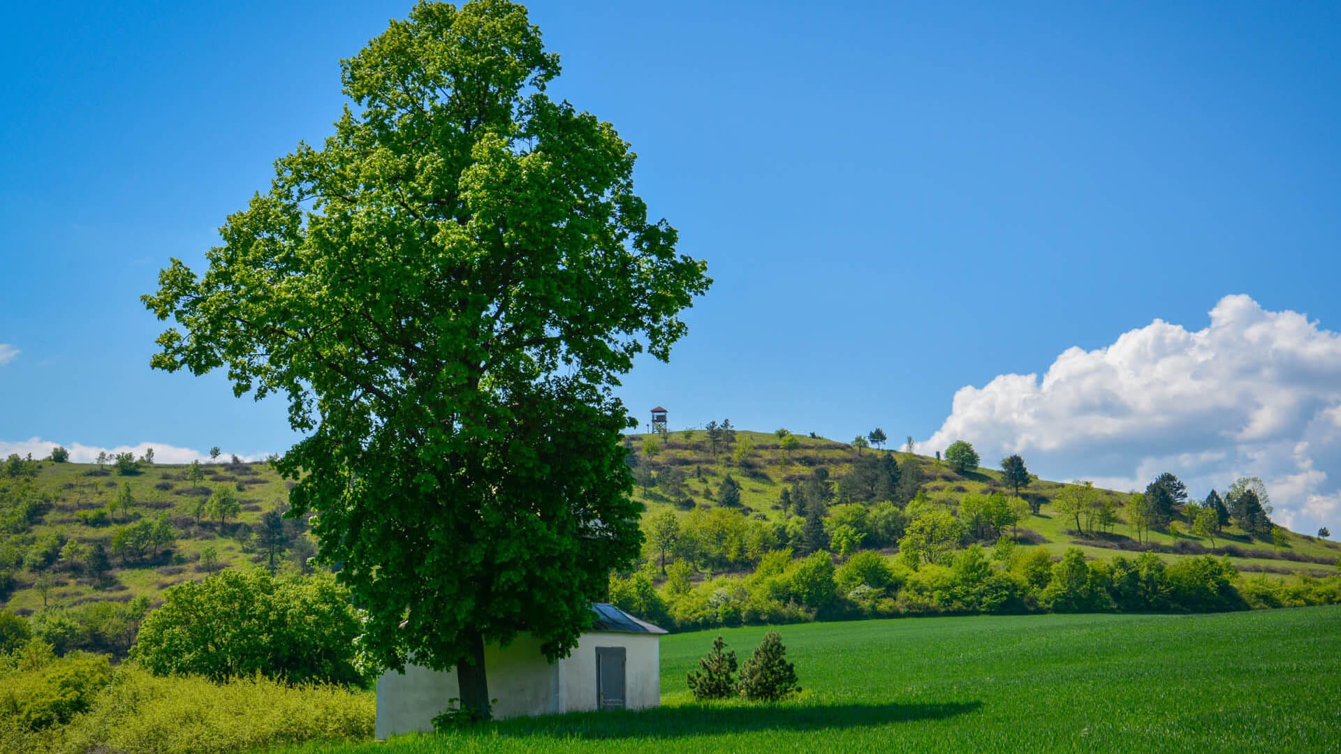 Turistika v Trenčíne o okolí