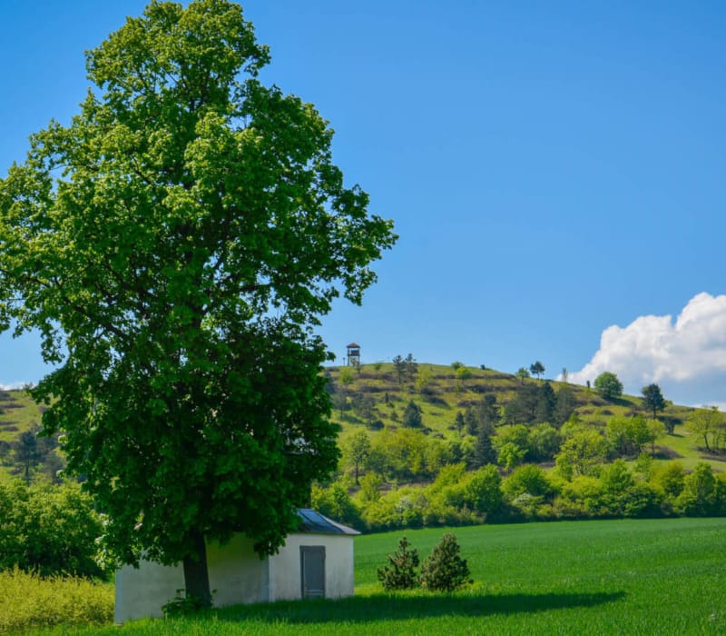 Turistika v Trenčíne o okolí