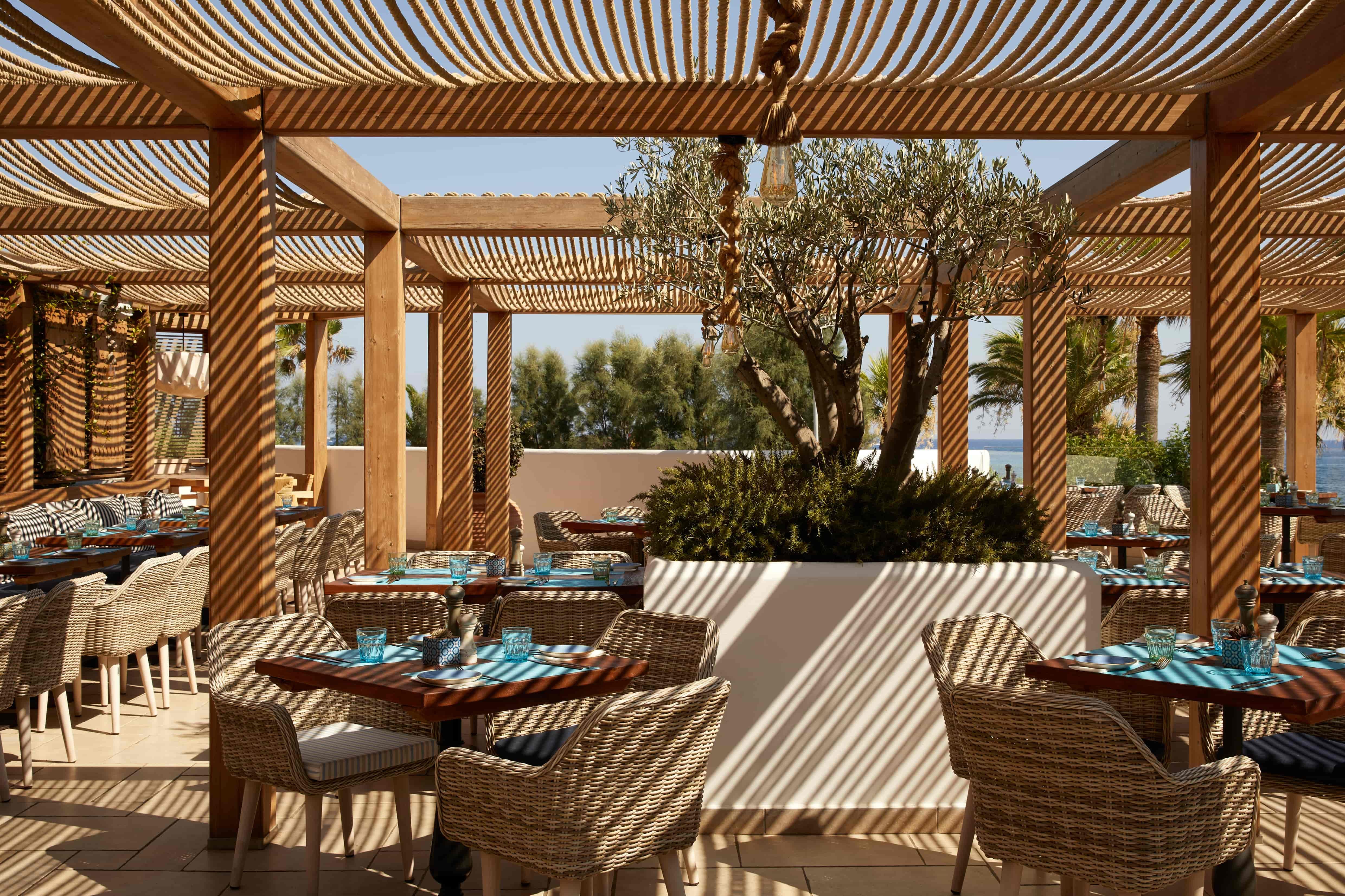 mare-ayia-napa-estia-local-creative-cusine-1