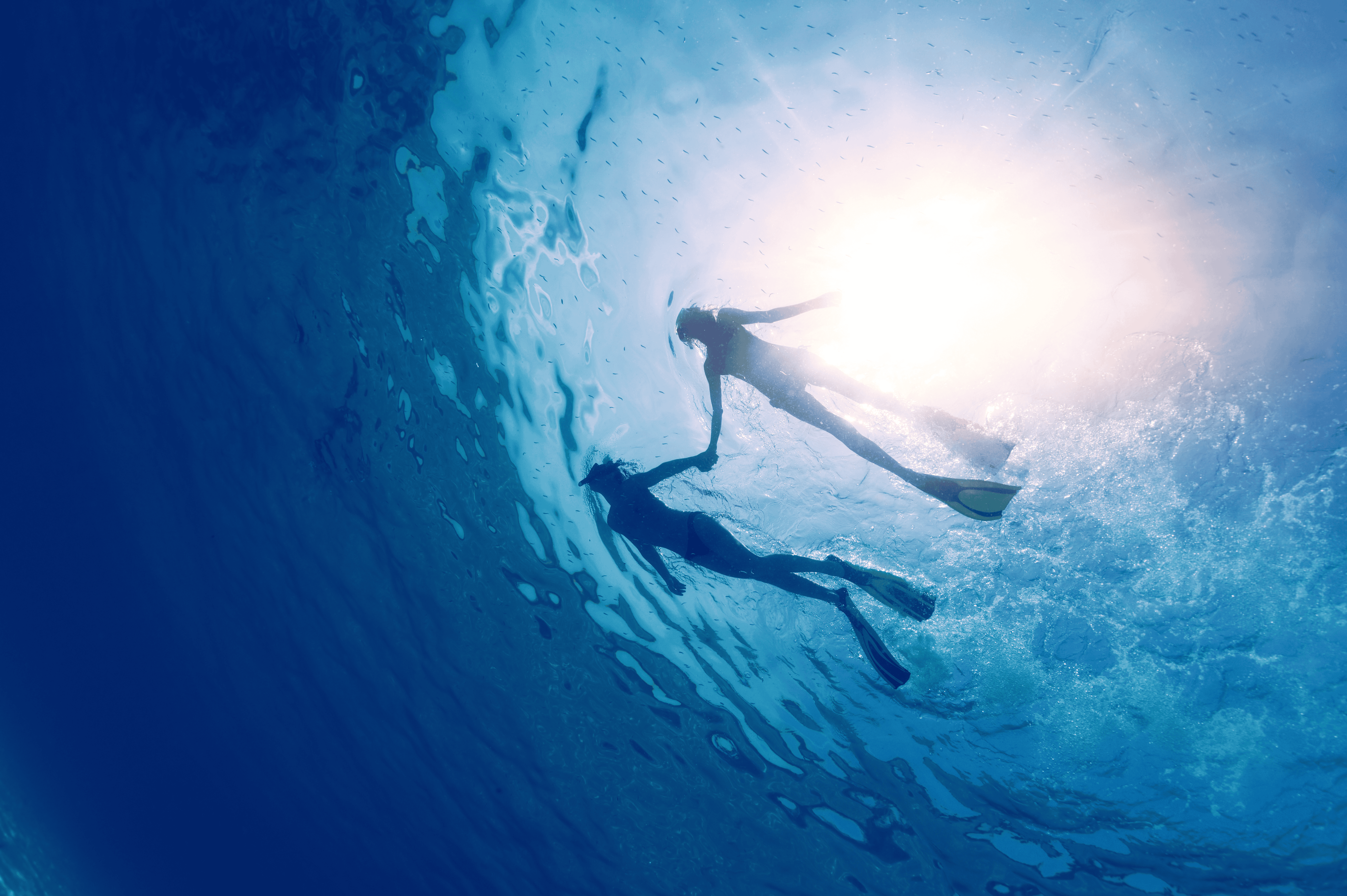 swim1