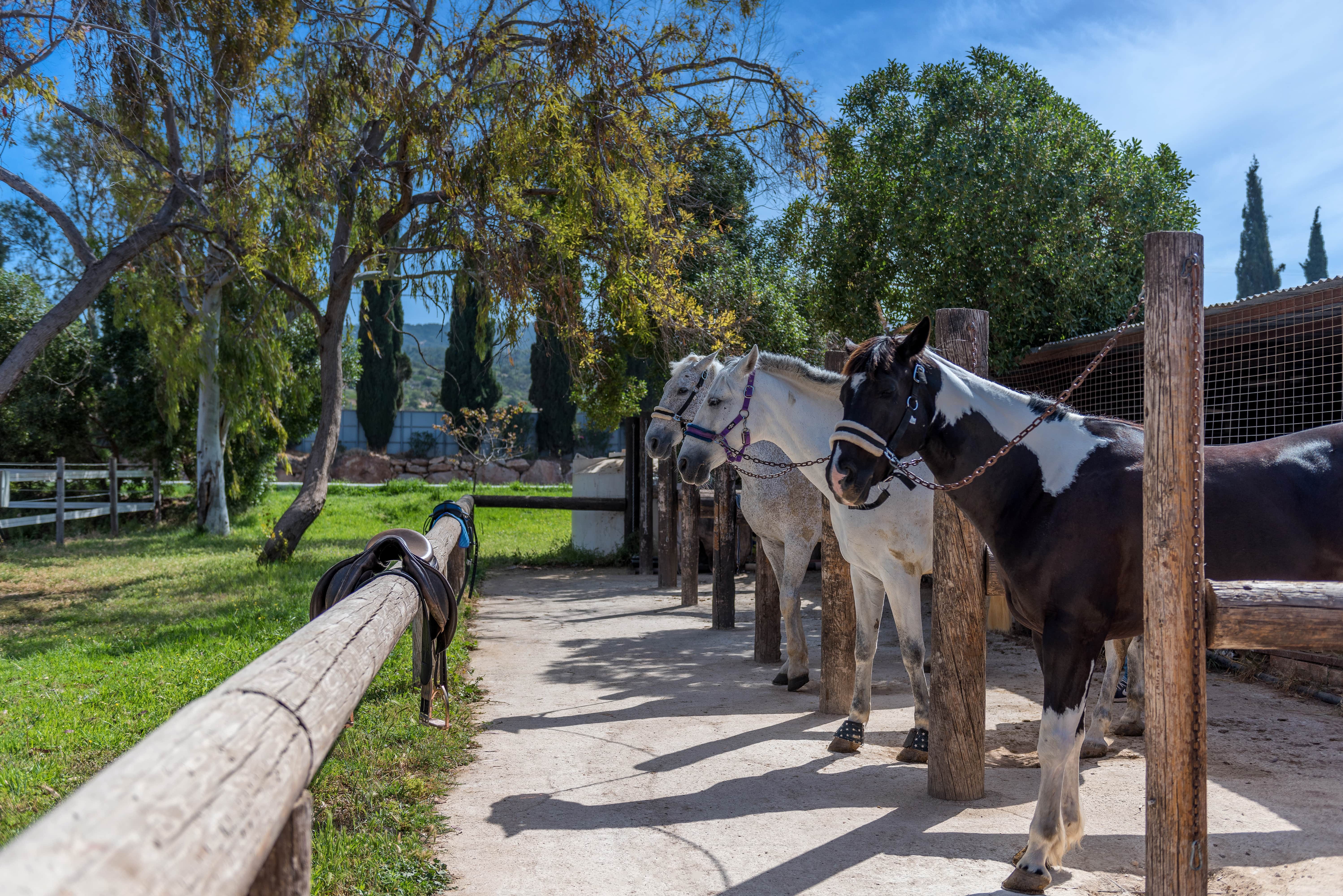 george-s-ranch-2-min