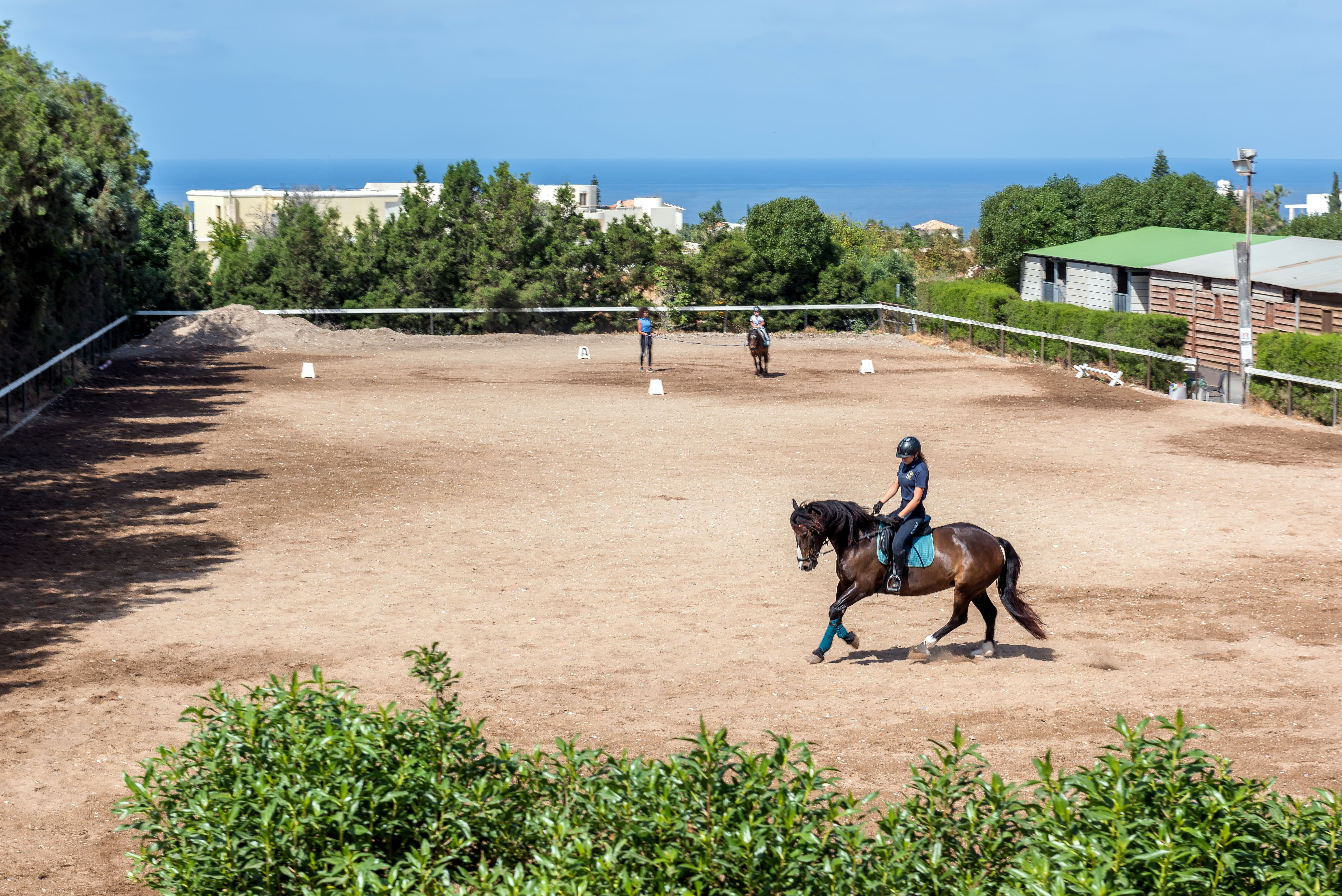 george-s-ranch-3-min