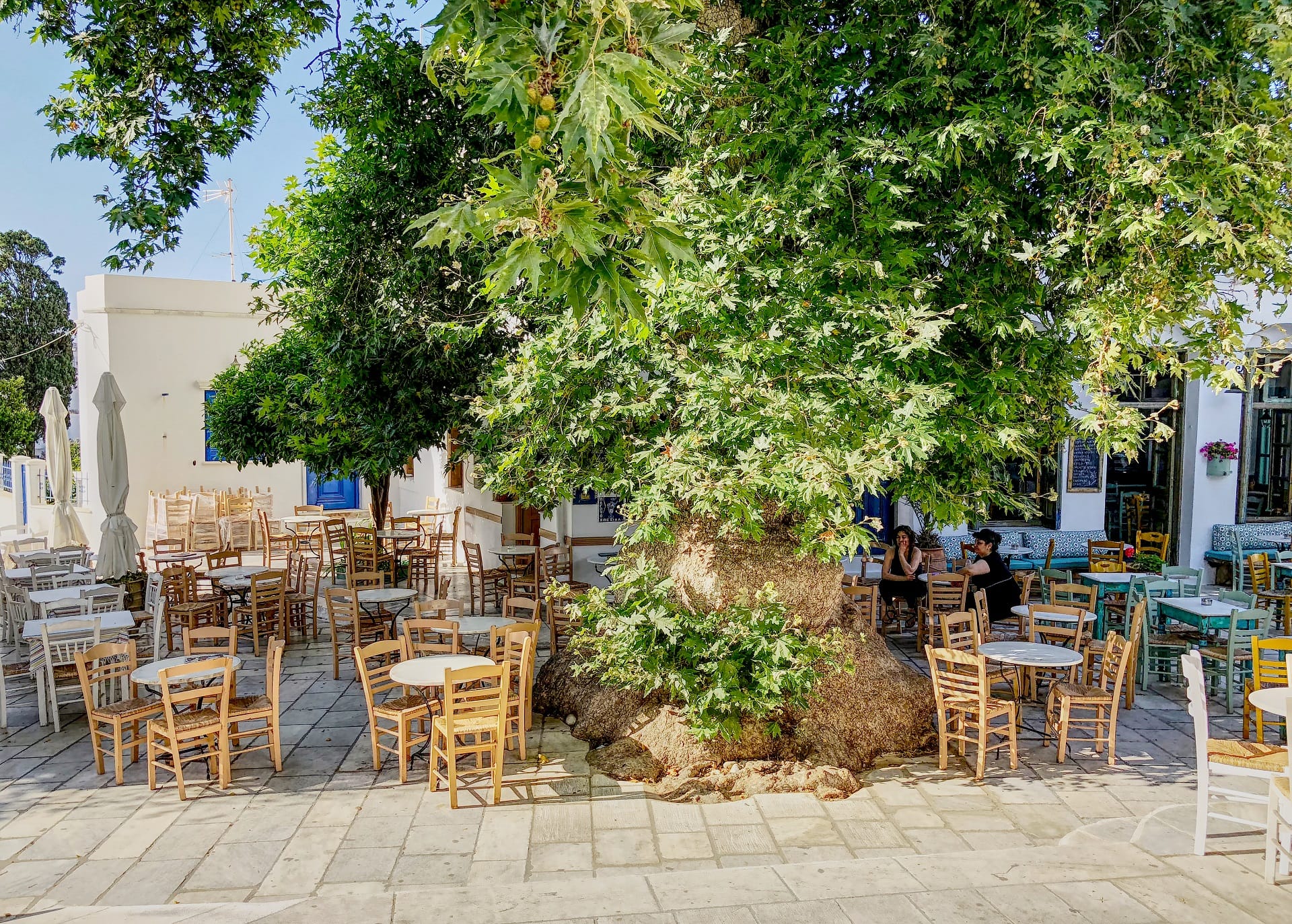 shutterstock_1224614461